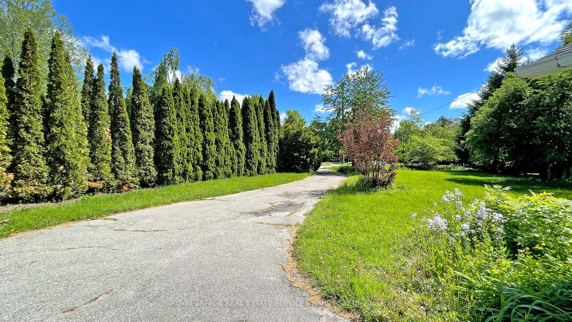 78 Arjay Crescent, Toronto C12, ON M2L 1C7 — Toronto C12, Ontario