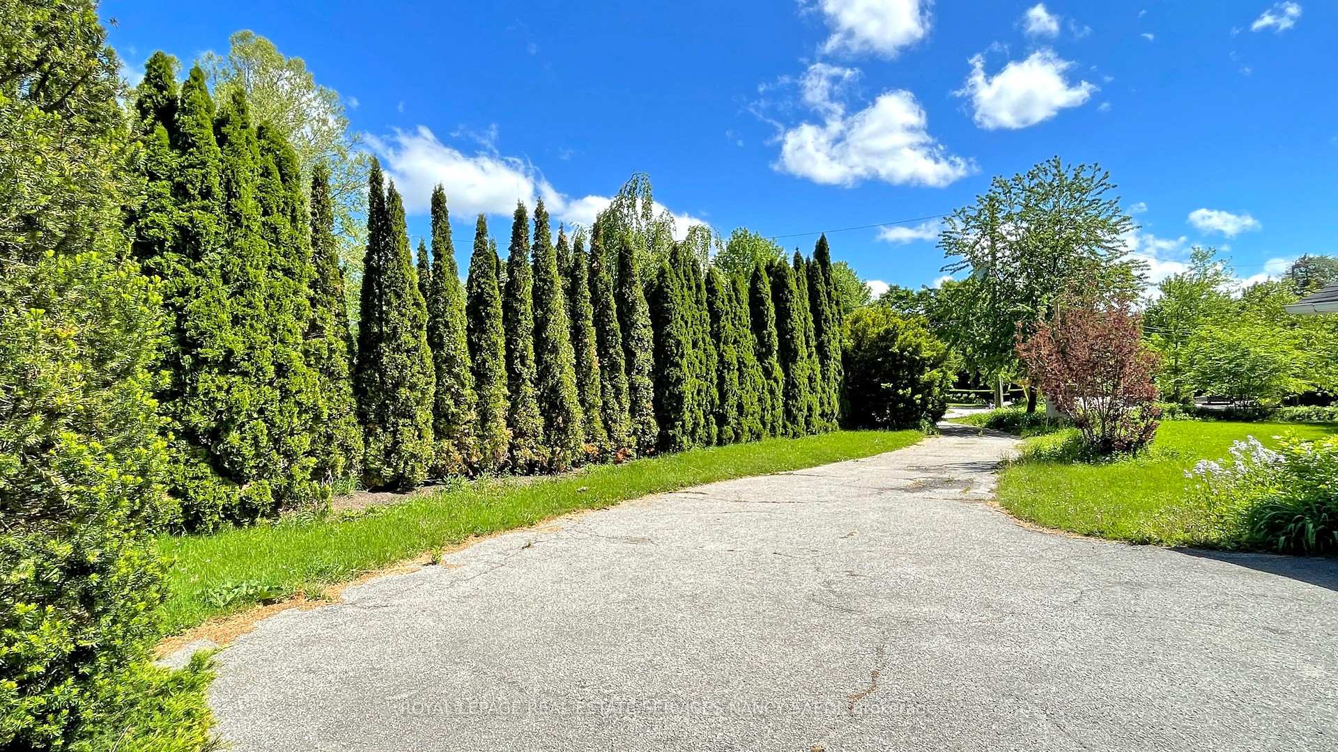 78 Arjay Crescent, Toronto C12 — photo 5 of 5