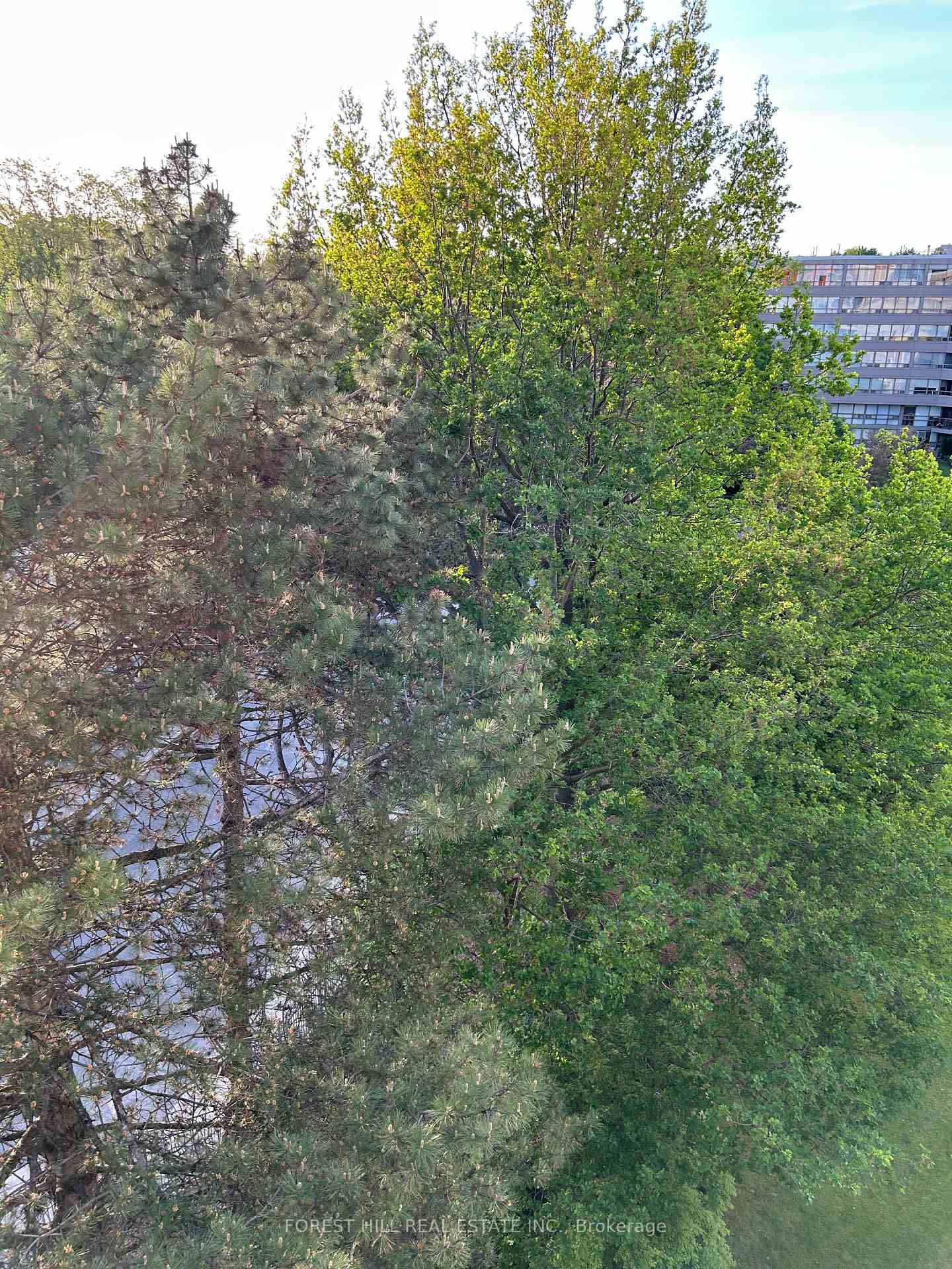 18 Lower Village Gate 602, Toronto C03 — photo 4 of 5