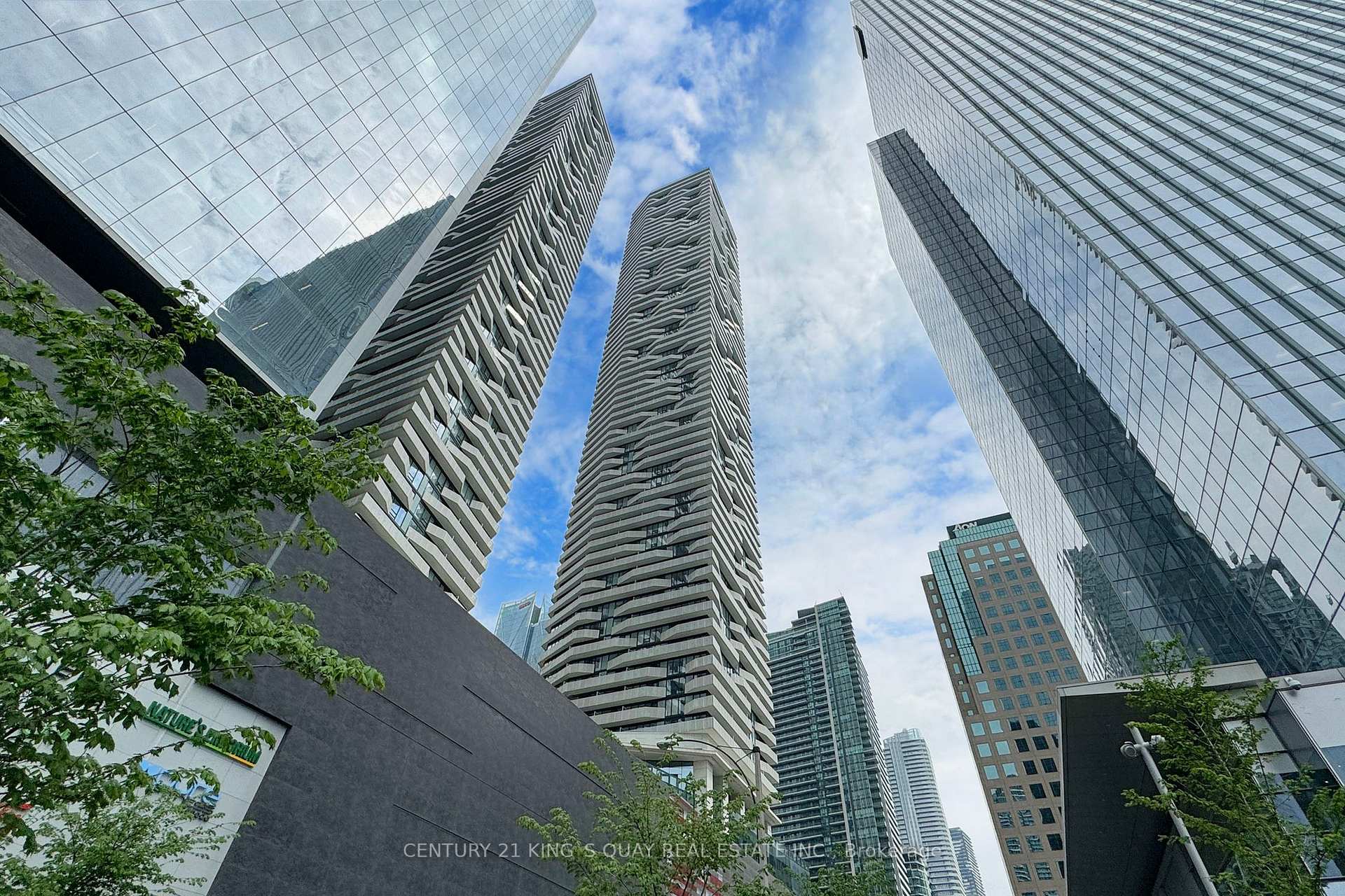 88 Harbour Street 4204, Toronto C01, ON M5J 0C3