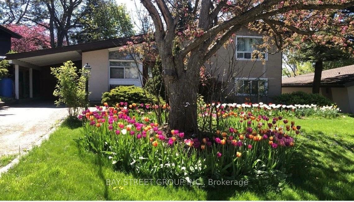5 Cottonwood Drive, Toronto C13, ON M3C 2B3