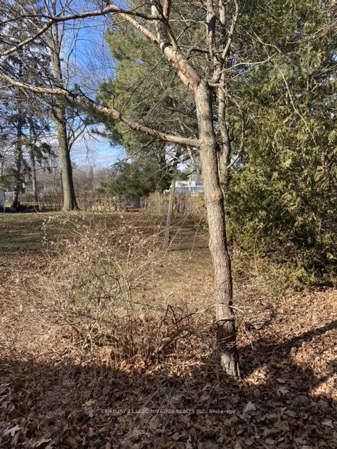 58 Pine Ridge Drive, Toronto E08 — photo 5 of 5