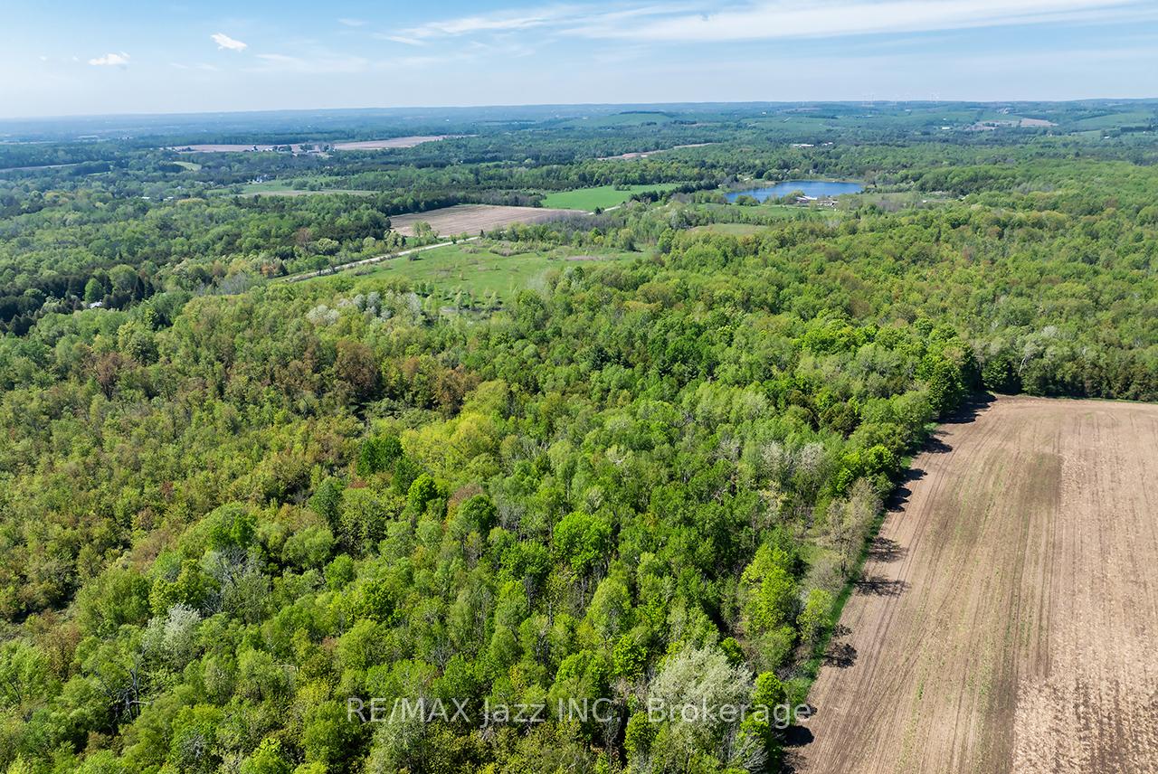 4148 Highway #2 N/A, Clarington — photo 5 of 5