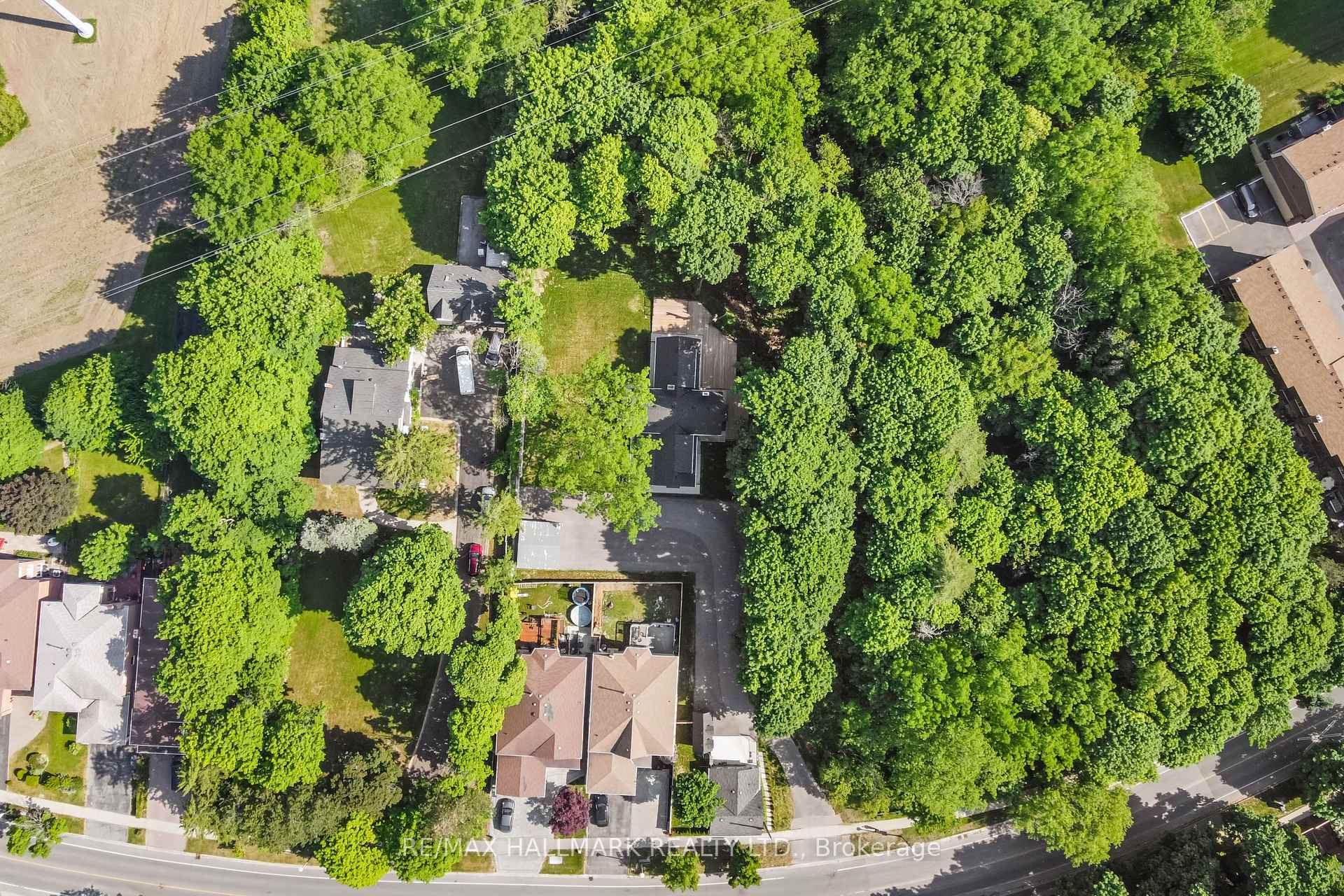551 Military Trail, Toronto E09 — photo 3 of 5