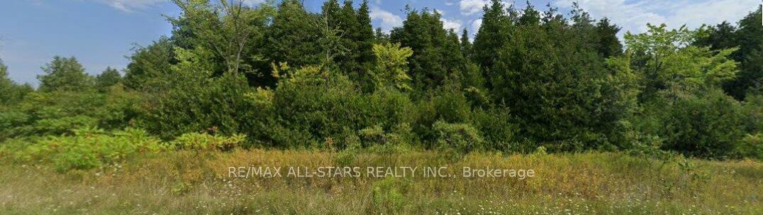 950 Concession 5 N/A, Brock — photo 4 of 4