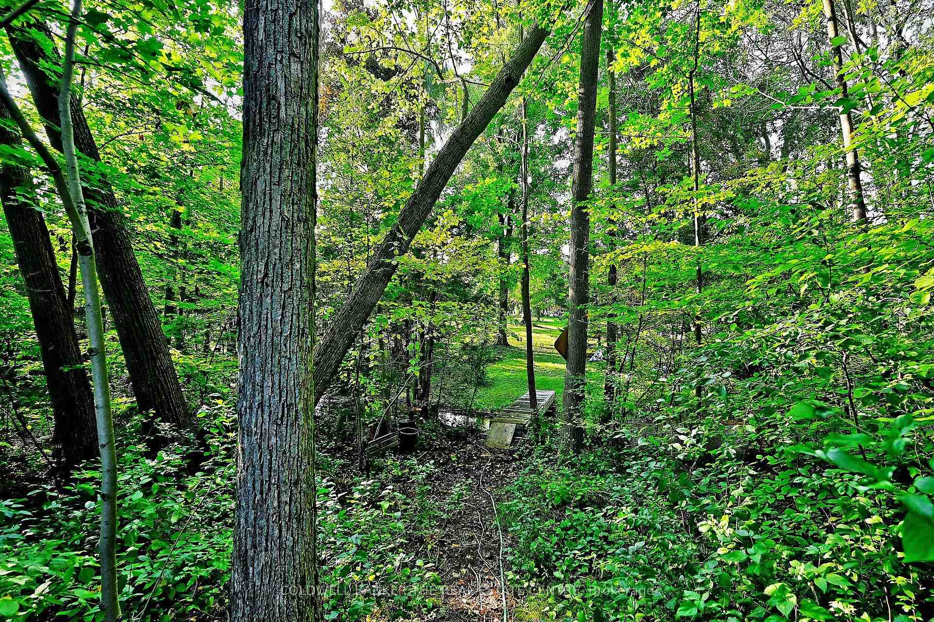20805 Brock Road, Brock — photo 5 of 5