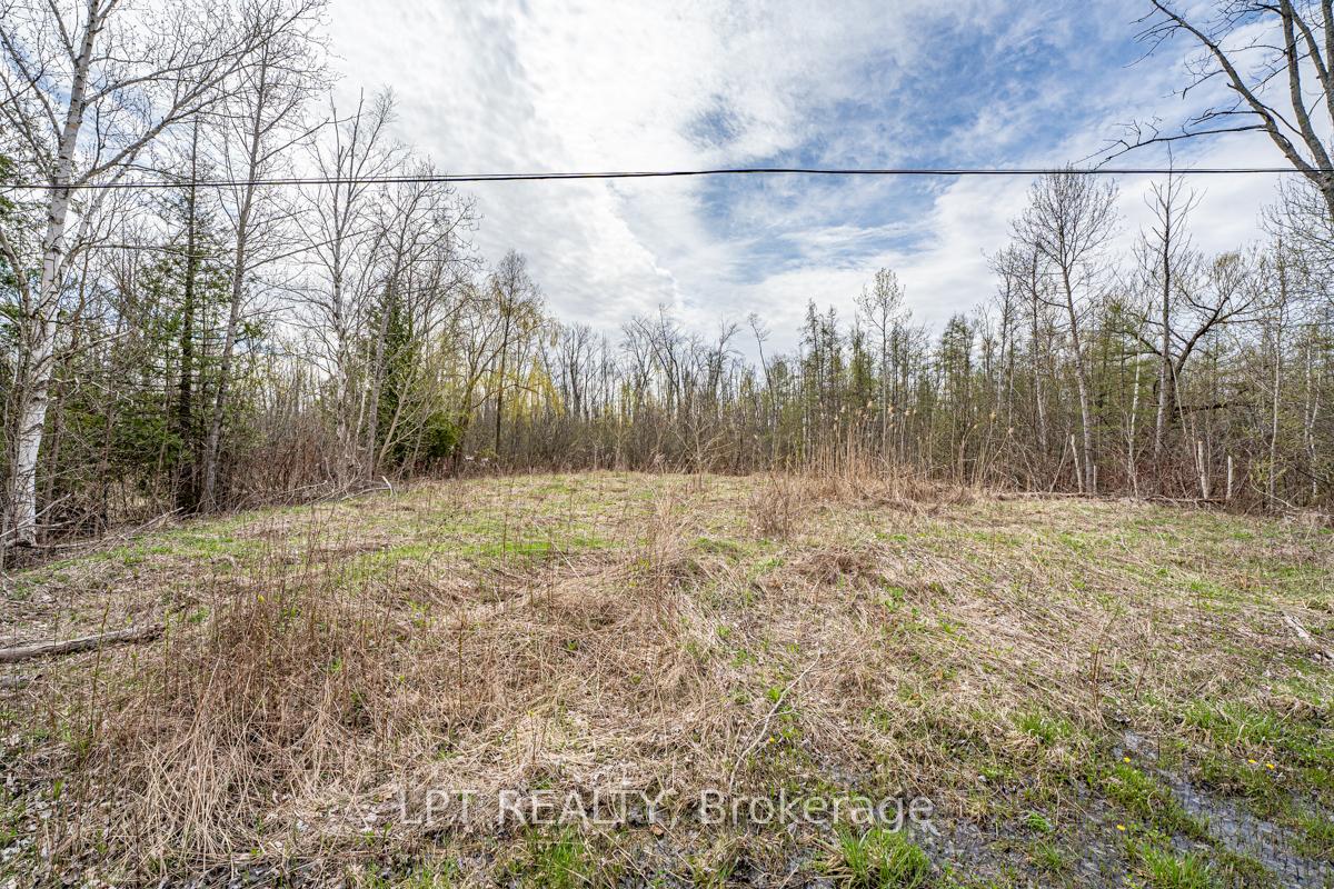 Lot 11 Donna Drive, Georgina — photo 5 of 5