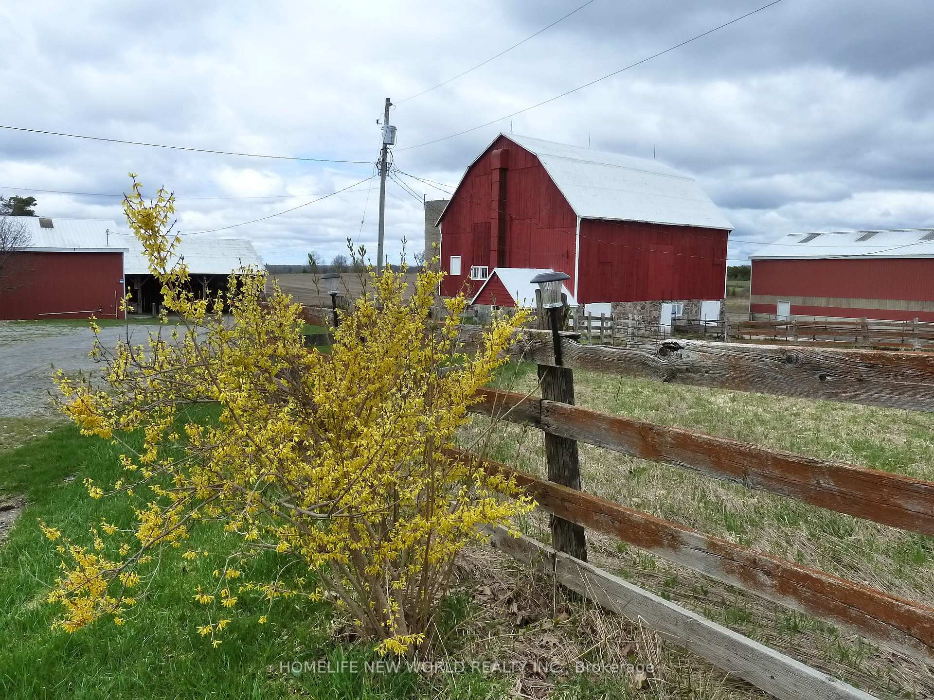 23702 Kennedy Road, Georgina — photo 2 of 5