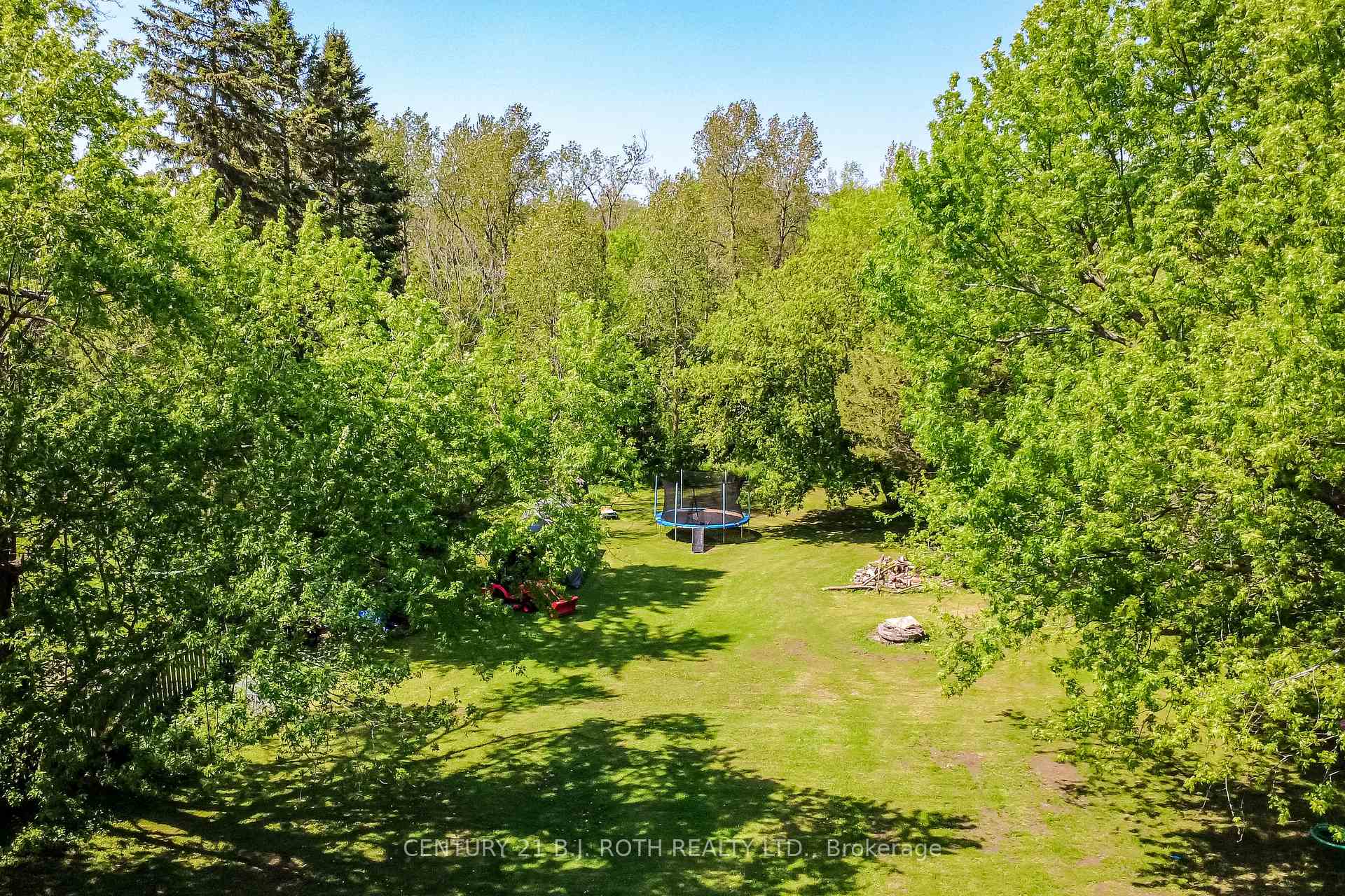 7906 Main Street, Adjala-Tosorontio — photo 4 of 5