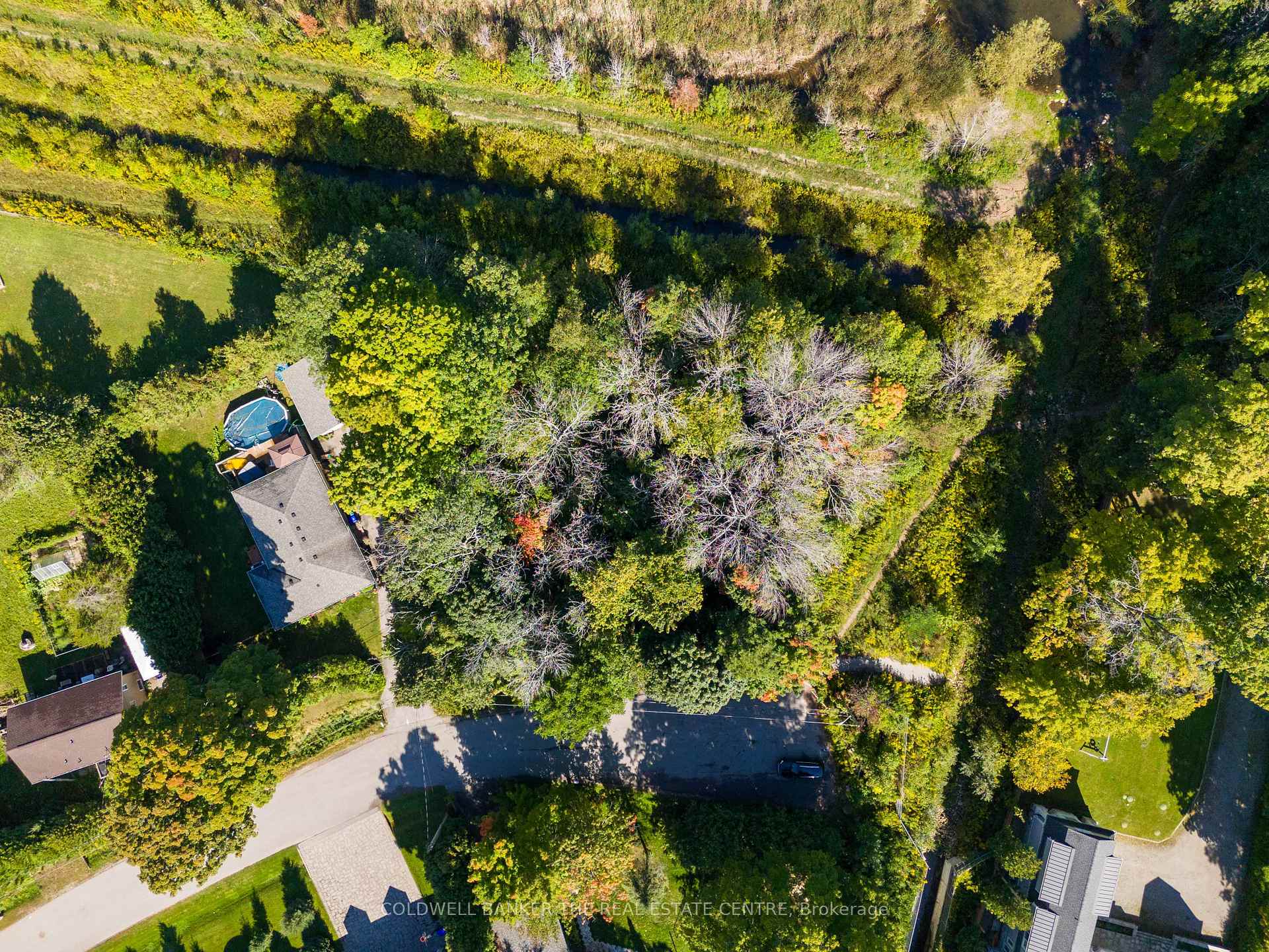 Lot 30 & Part Lot 29 Purvis Street, Innisfil — photo 3 of 5