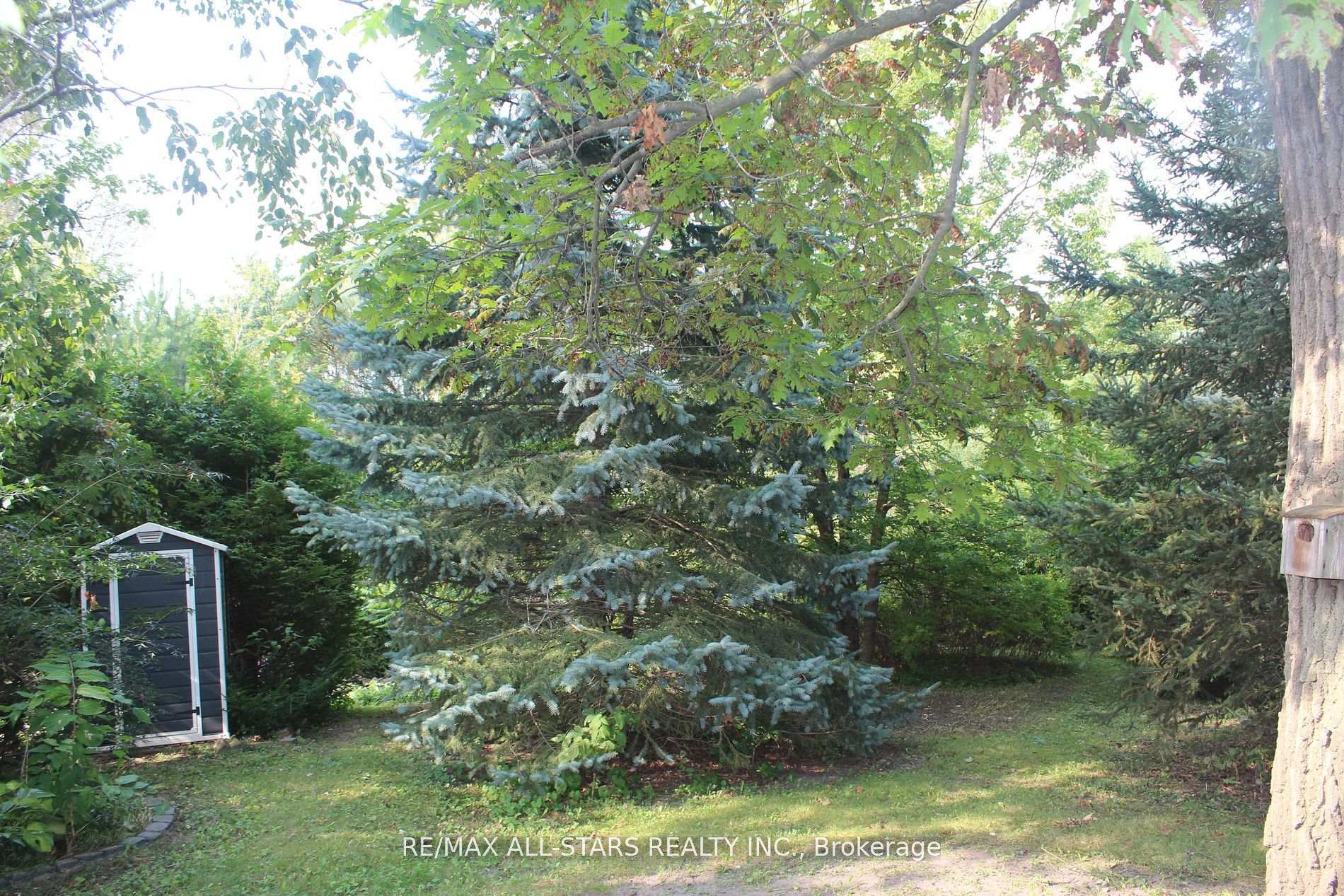 40-A Riverglen Drive, Georgina — photo 4 of 5