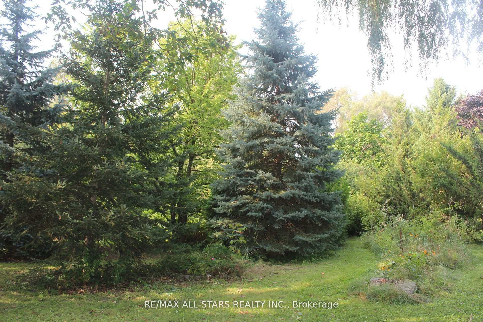 40-A Riverglen Drive, Georgina — photo 5 of 5
