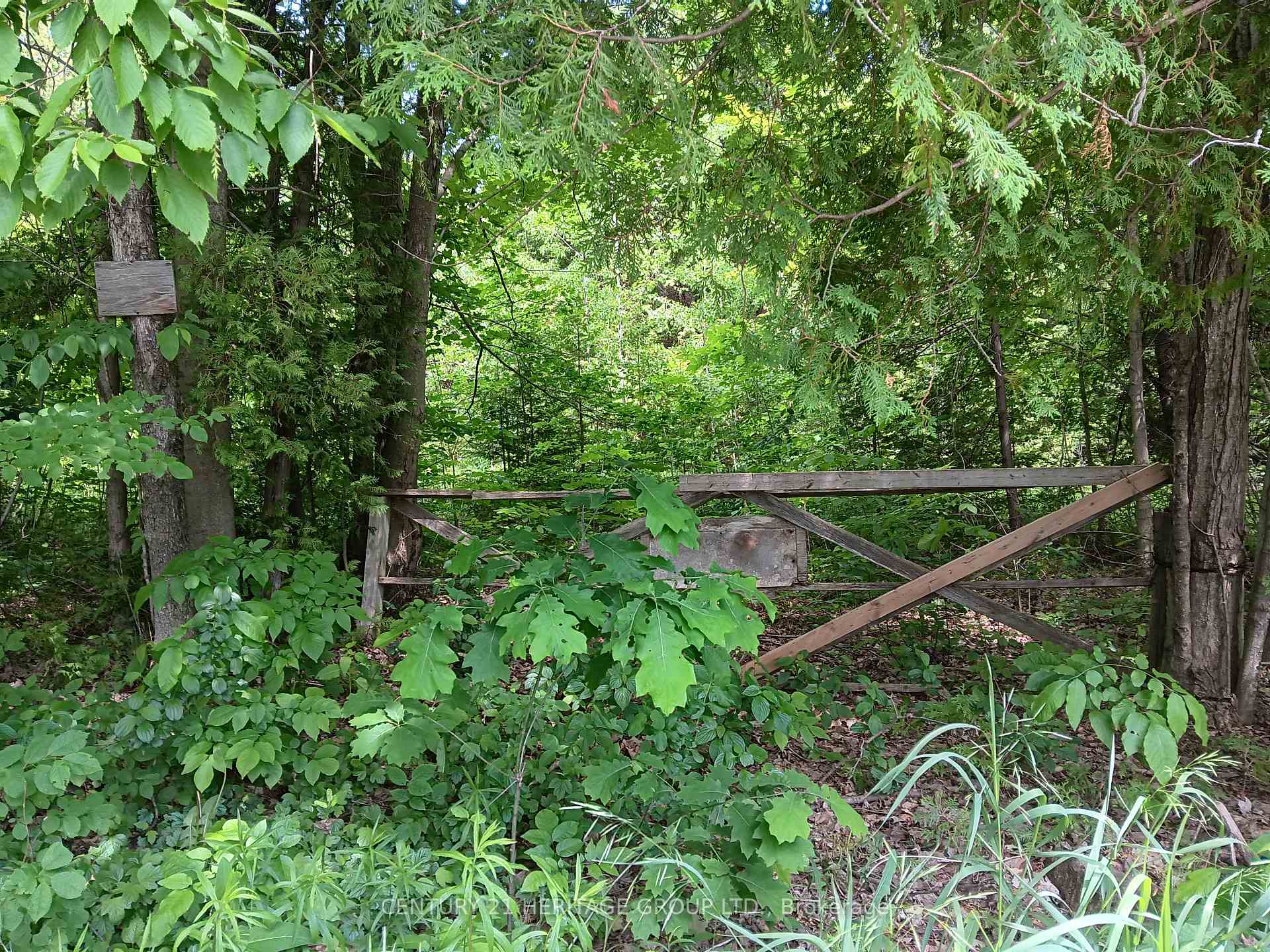7 Line N/A, Innisfil — photo 2 of 5