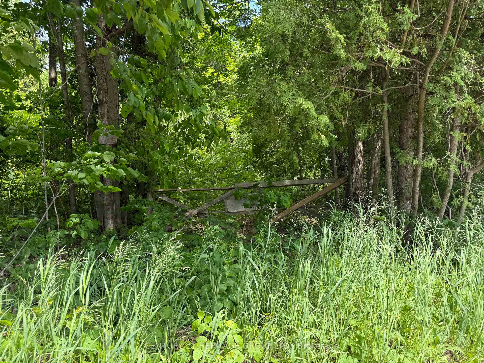 7 Line N/A, Innisfil — photo 3 of 5