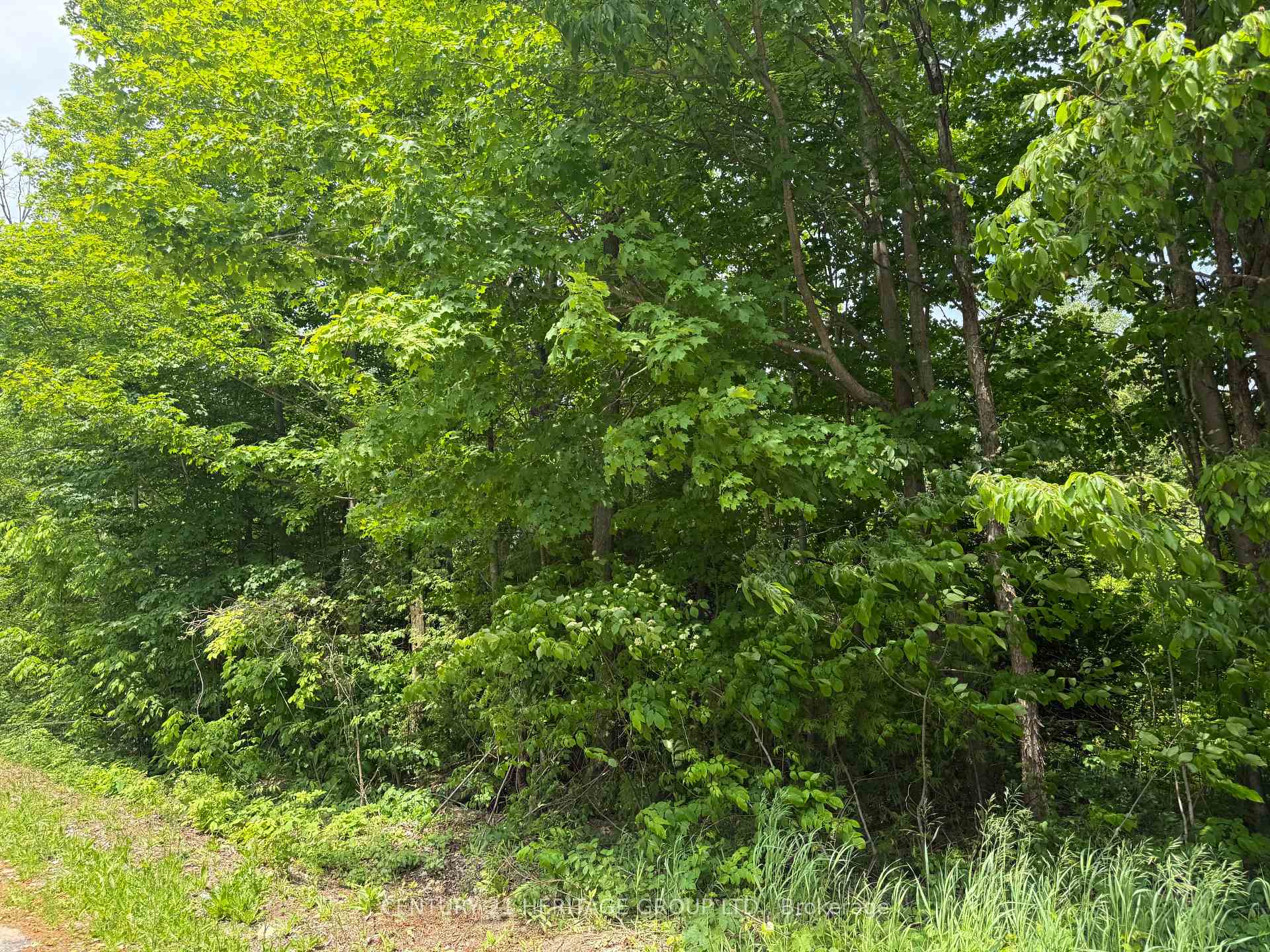 7 Line N/A, Innisfil — photo 4 of 5