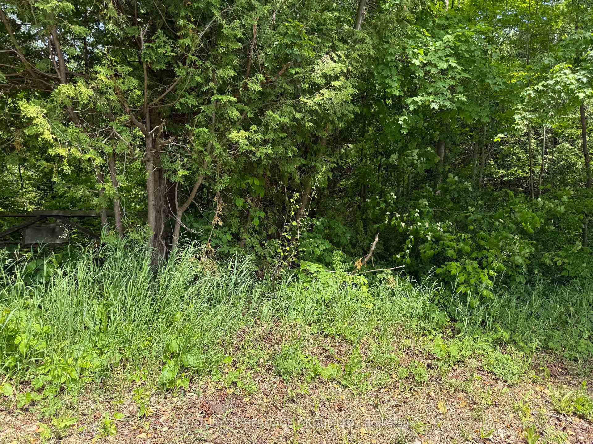 7 Line N/A, Innisfil — photo 5 of 5