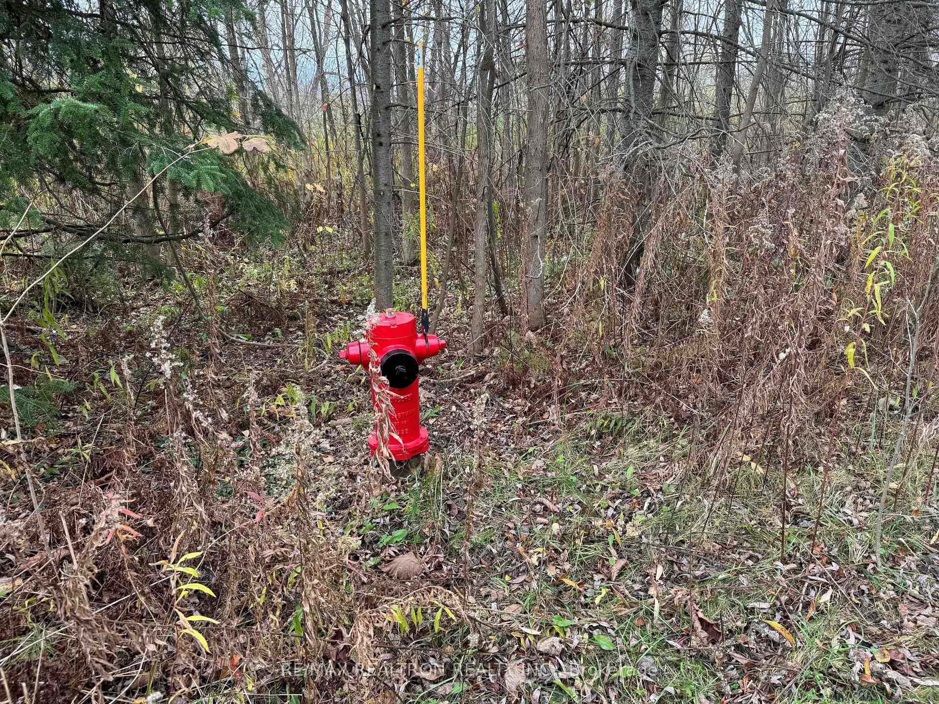 0 Taylorwoods Boulevard, Innisfil, ON L9S 2E9