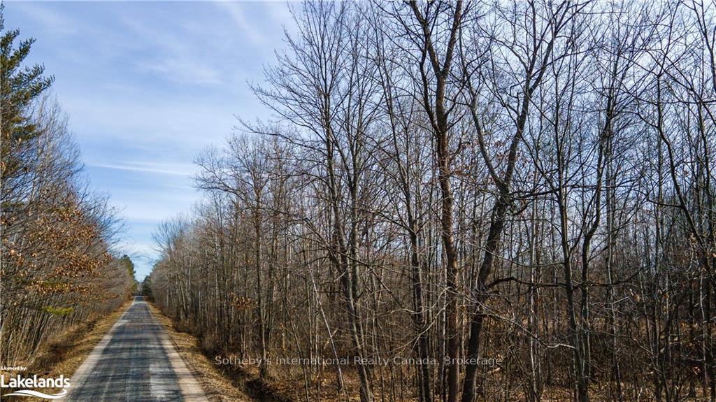 3105 NARROWS Road, Severn — photo 2 of 5