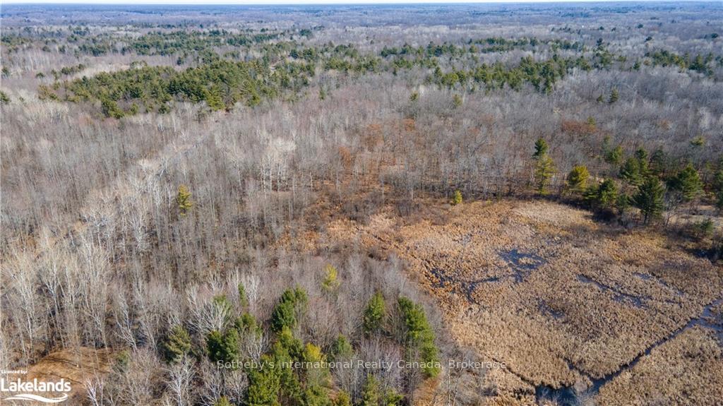 3105 NARROWS Road, Severn — photo 4 of 5