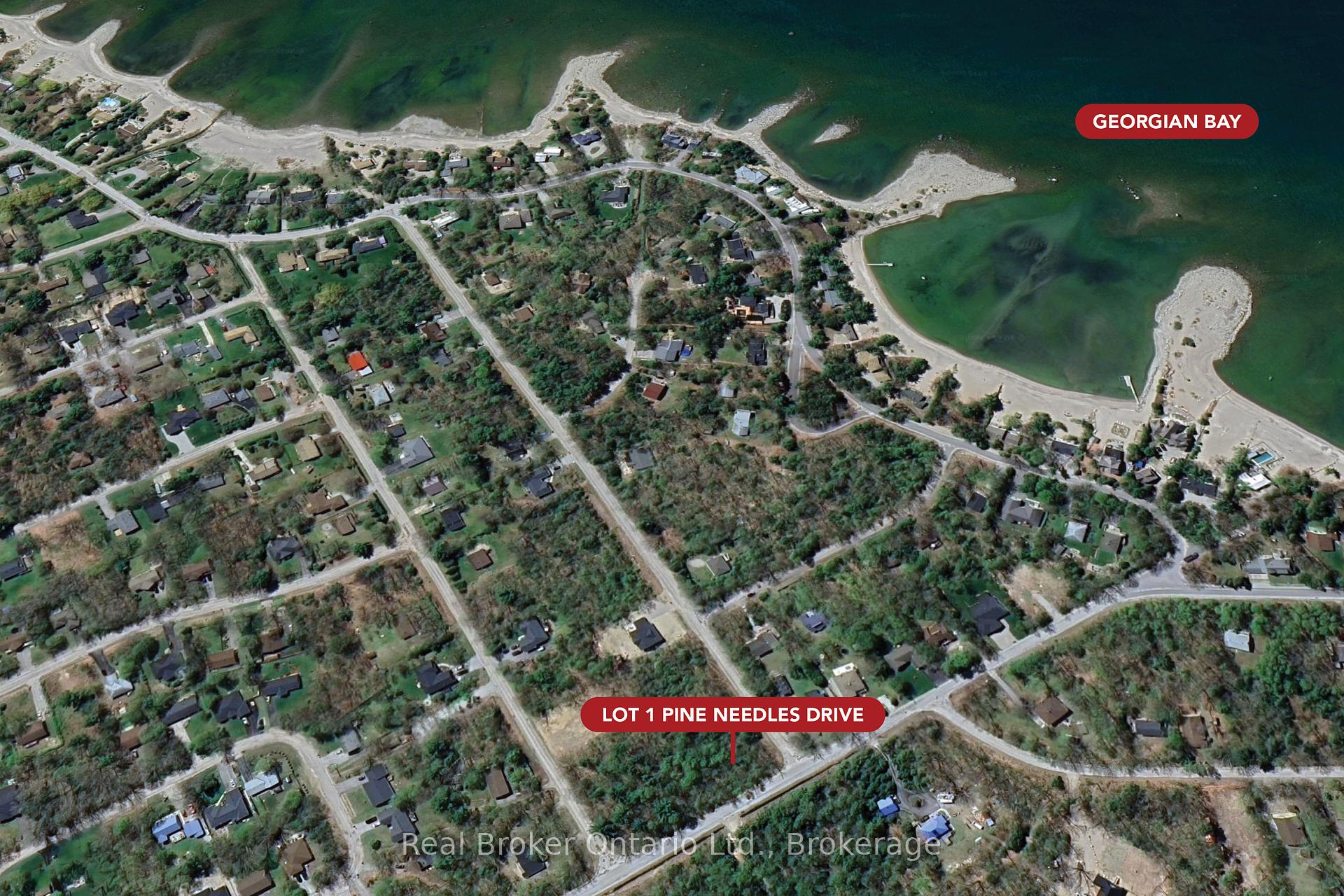 Lot 1 Pine Needles Drive, Tiny — photo 3 of 3