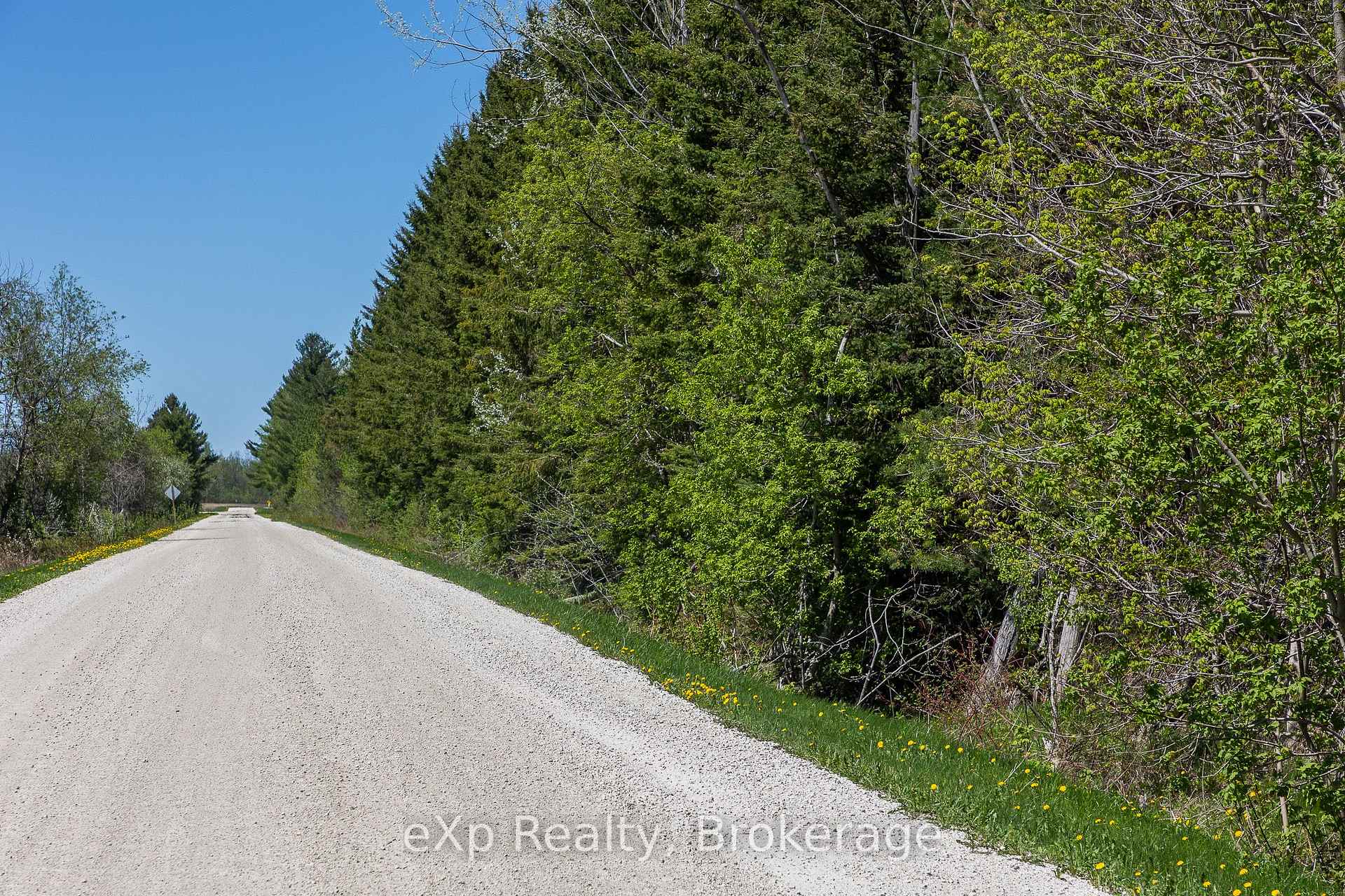 5716 County Road 9 N/A, Clearview — photo 4 of 5