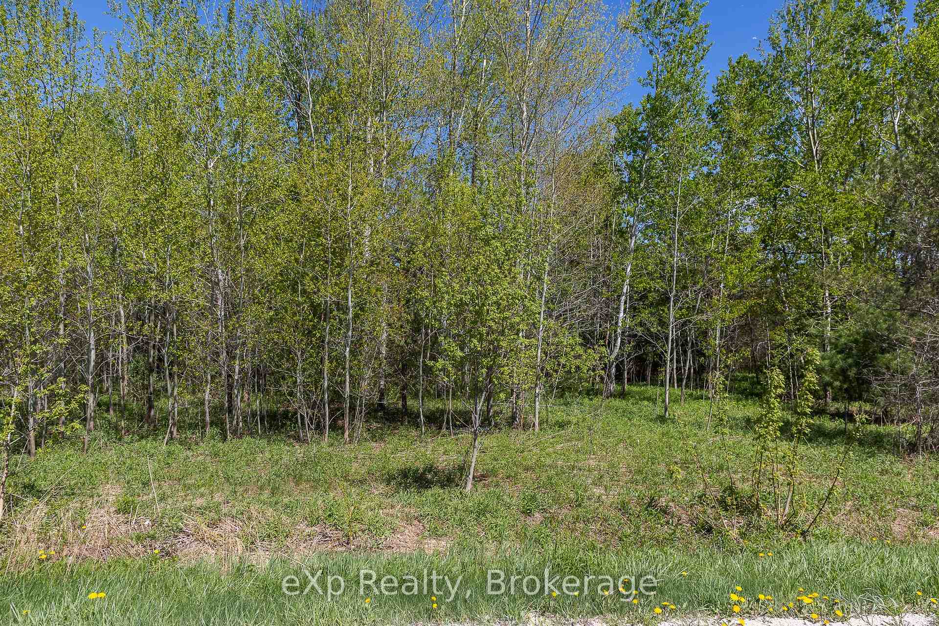 5716 County Road 9 N/A, Clearview — photo 5 of 5