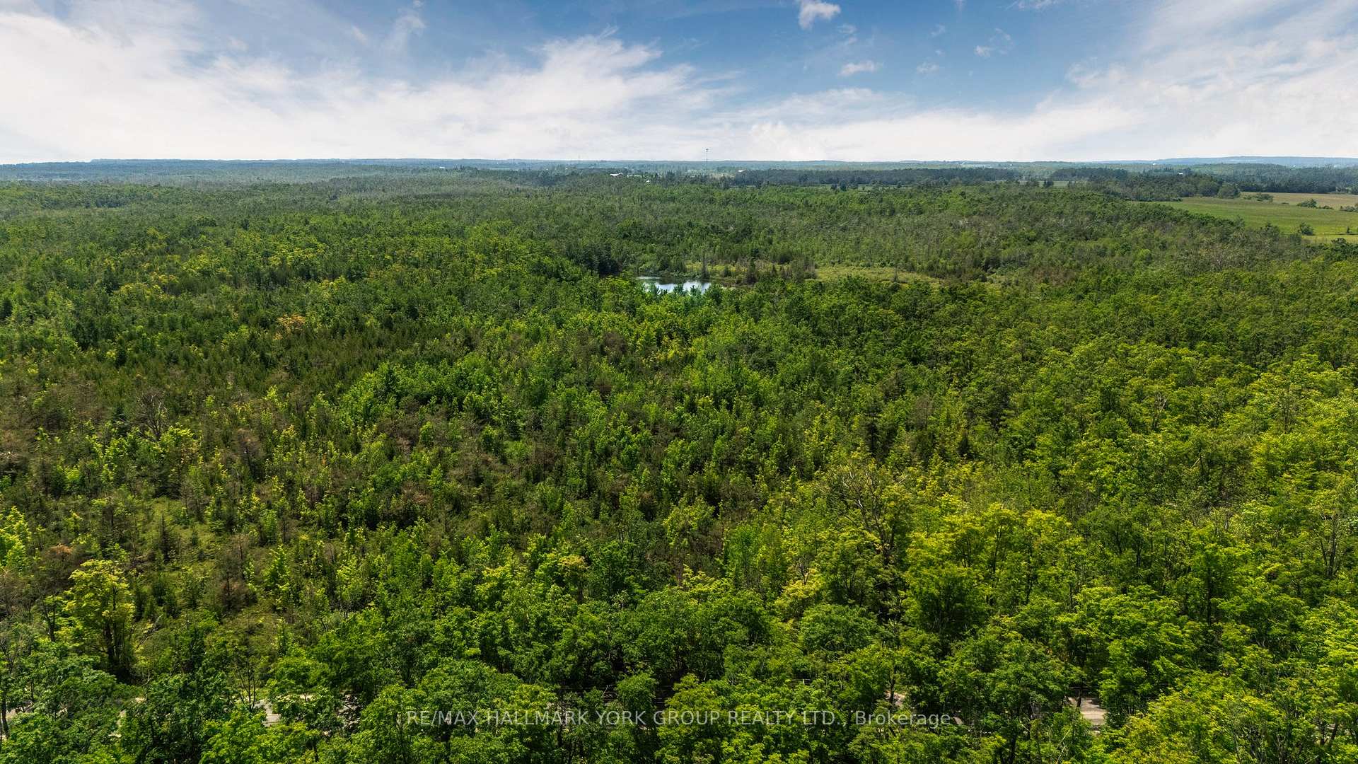 600 14TH LINE SOUTH N/A, Oro-Medonte — photo 5 of 5