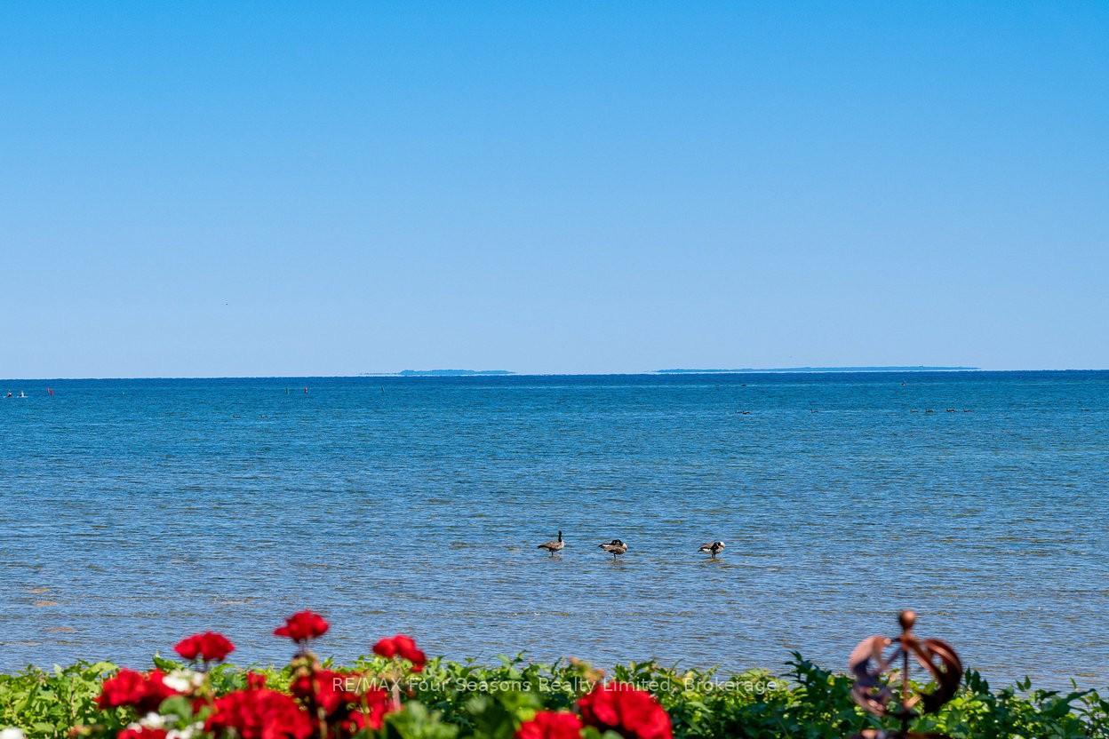 44 Trott Boulevard 17, Collingwood, ON L9Y 5B7 — Collingwood, Ontario