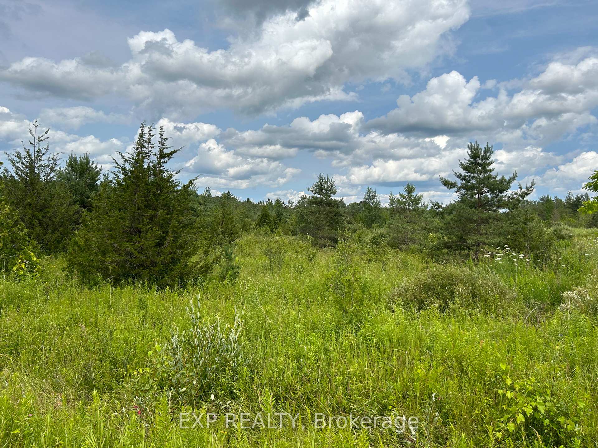 1155 Wood Road, Tay, ON L0K 2E0 — Tay, Ontario