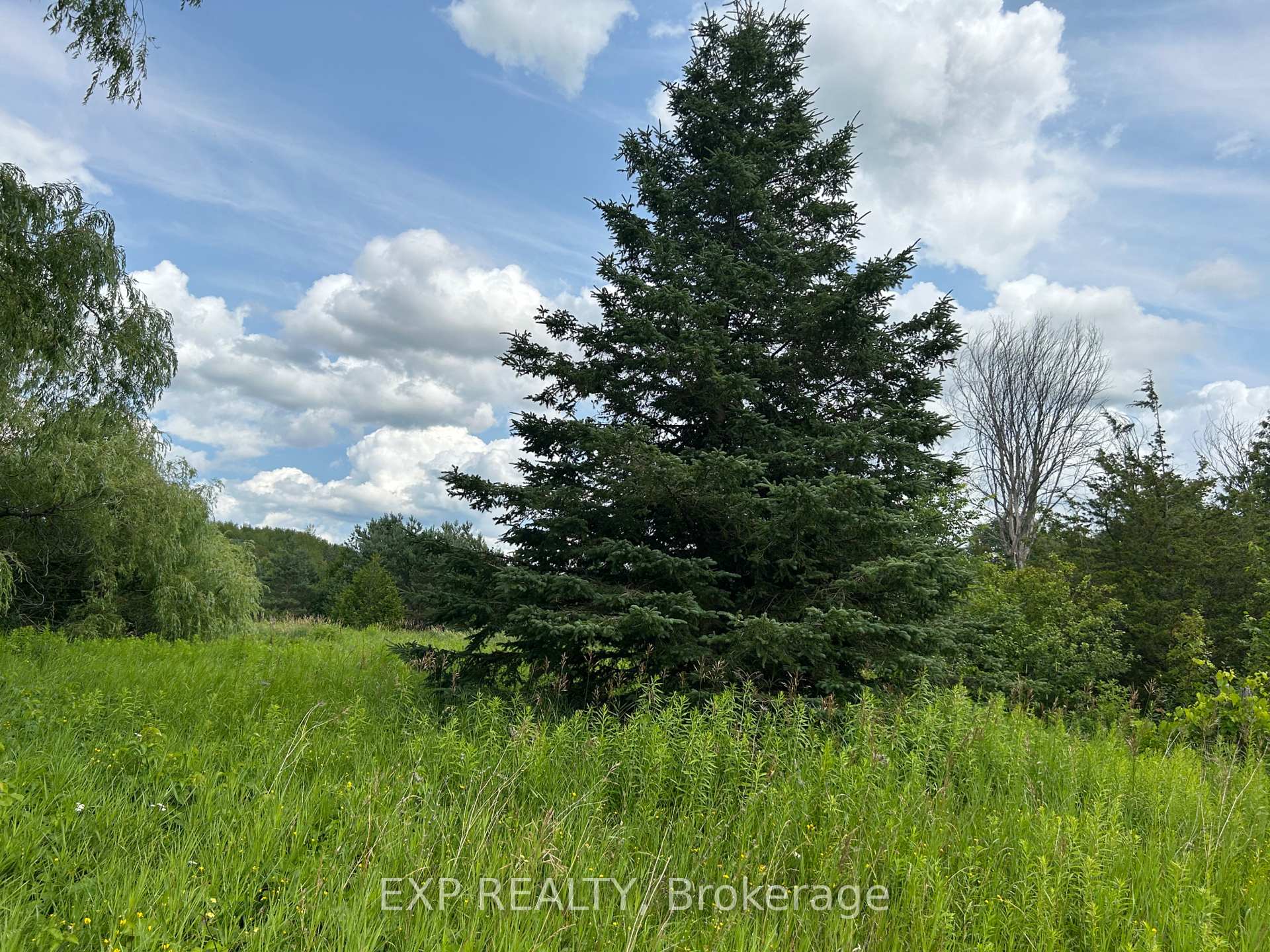 1155 Wood Road, Tay — photo 2 of 3