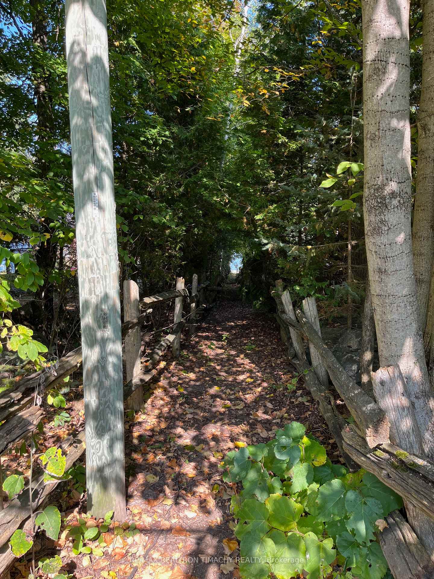 Lot 7 Champlain Road, Tiny — photo 5 of 5