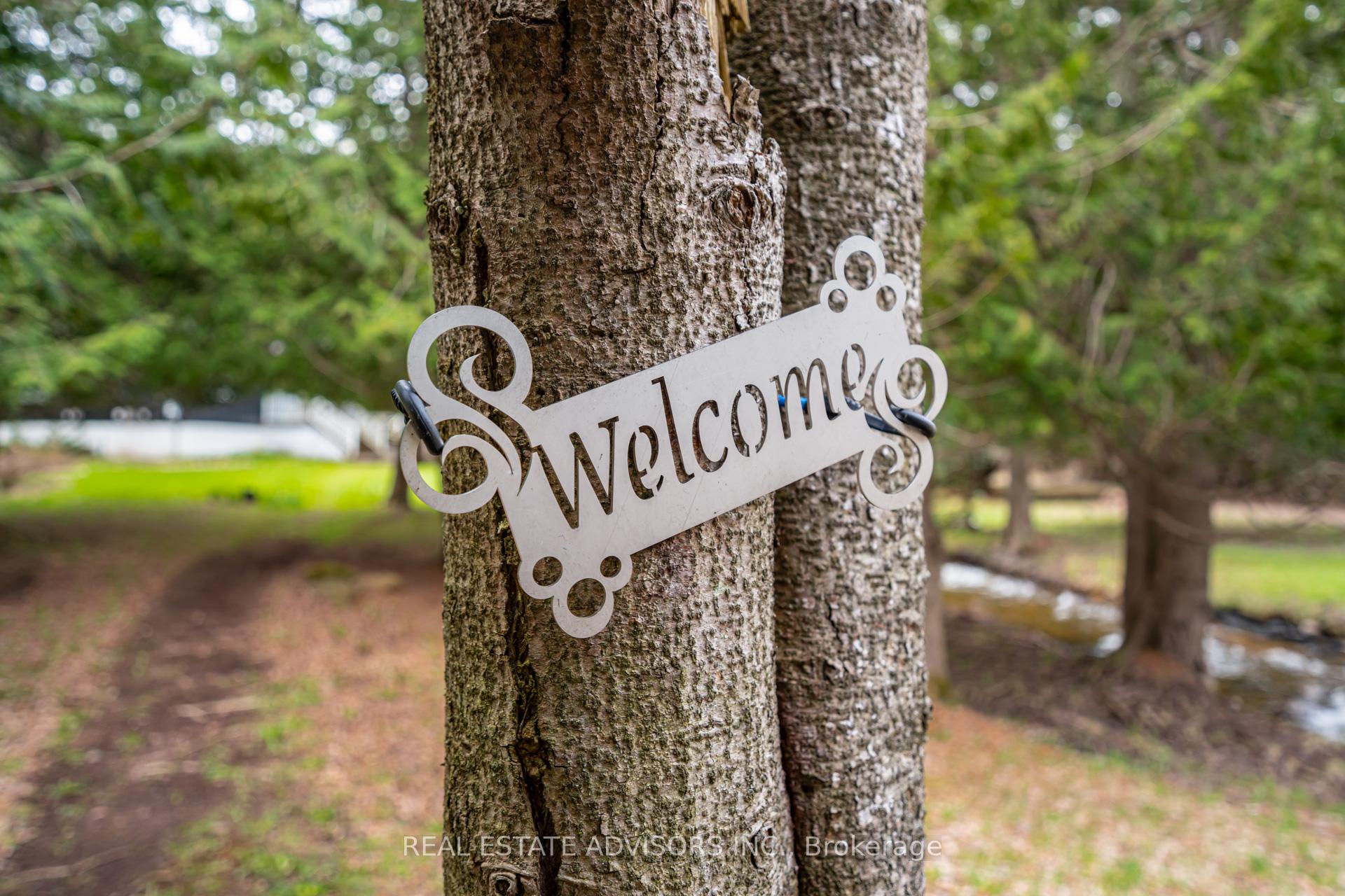 9387 County Road 9 N/A, Clearview — photo 4 of 5