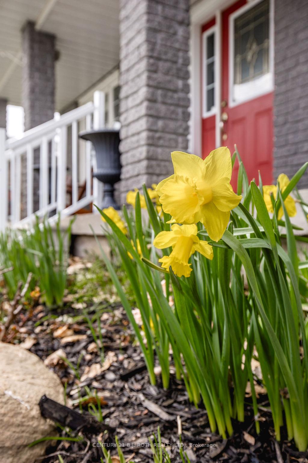 12 Graham Street, Springwater — photo 4 of 5