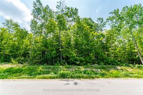 Lot 41 Explorers Landing, Tiny — photo 2 of 5