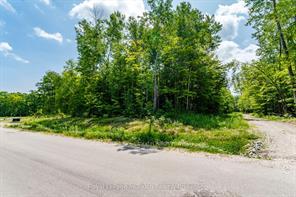 Lot 41 Explorers Landing, Tiny — photo 5 of 5