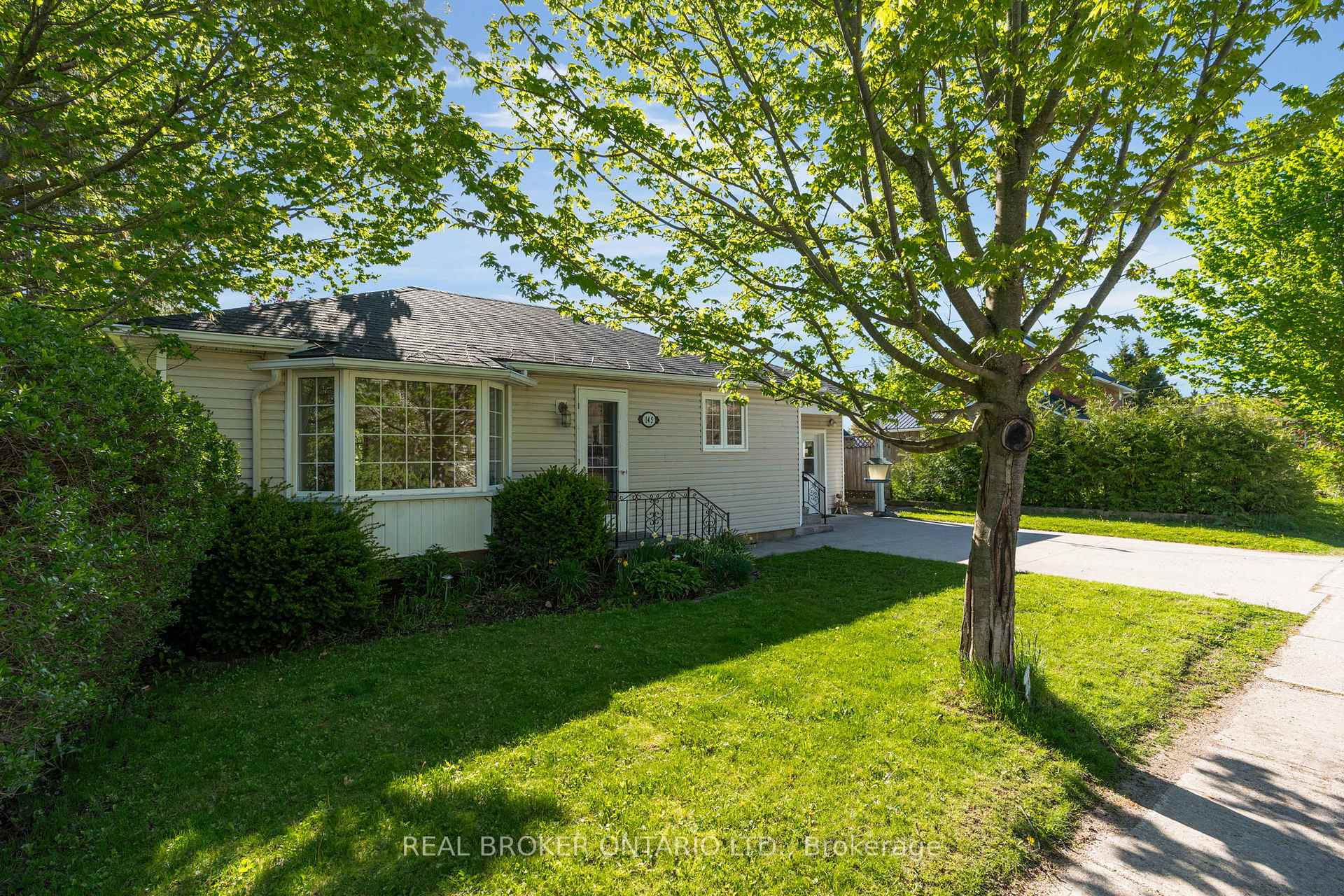 145 Collingwood Street, Clearview — photo 2 of 5