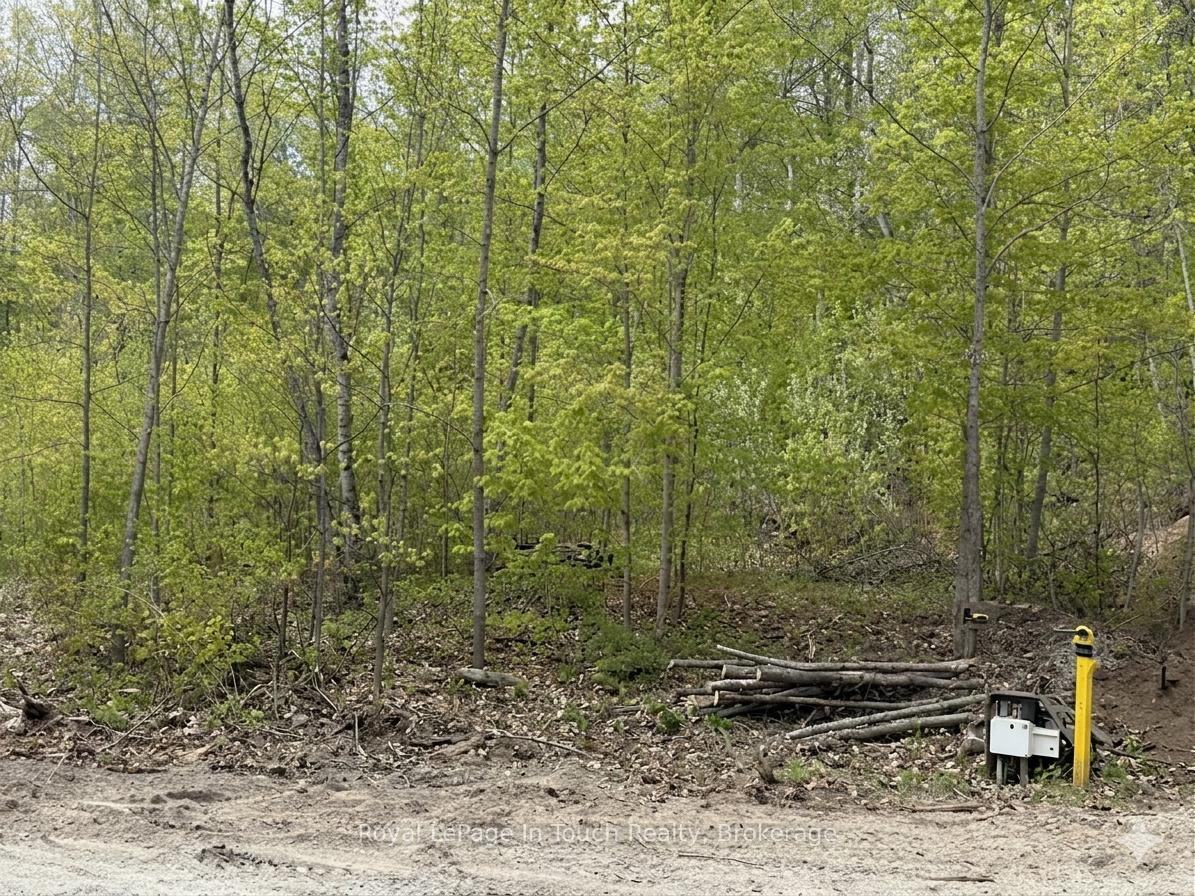 1536 CHAMPLAIN Road, Tiny, ON L9M 0C1 — Tiny, Ontario