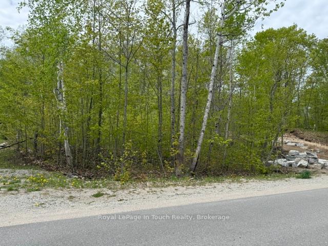 1536 CHAMPLAIN Road, Tiny — photo 2 of 4