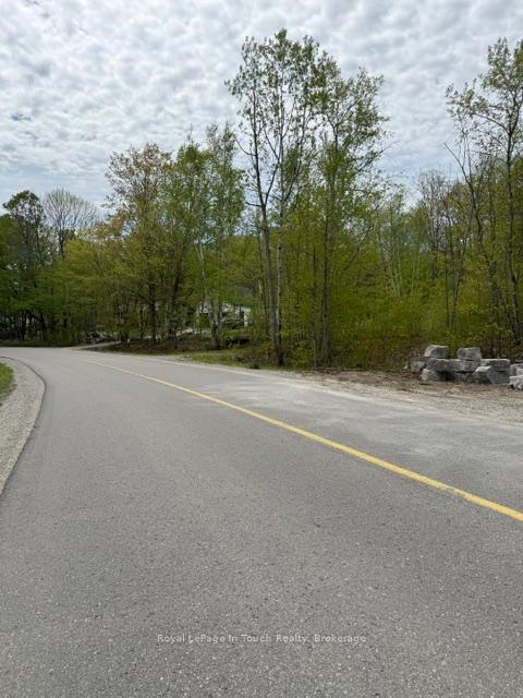 1536 CHAMPLAIN Road, Tiny — photo 3 of 4