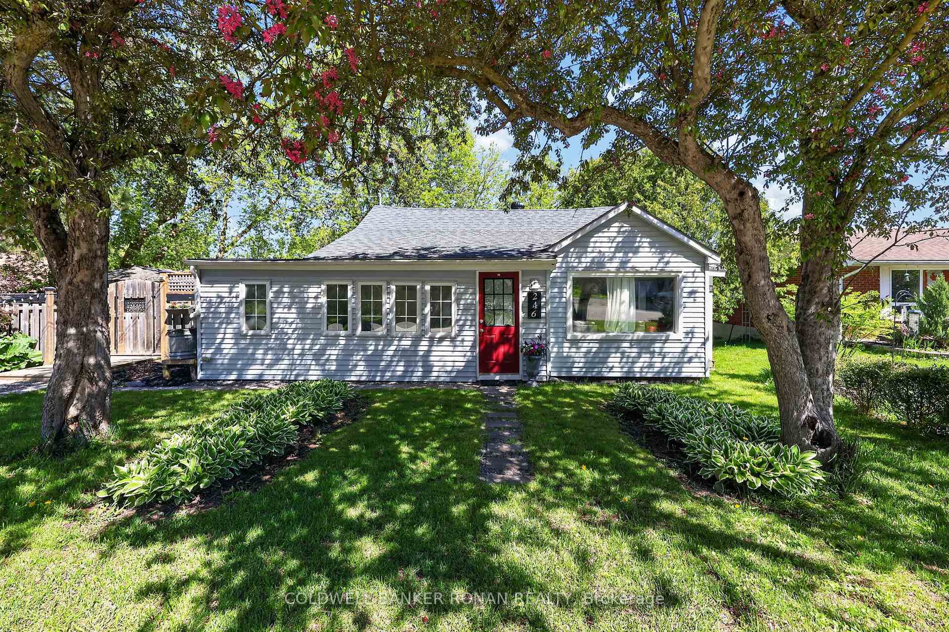 246 Weir Street, Clearview — photo 3 of 5