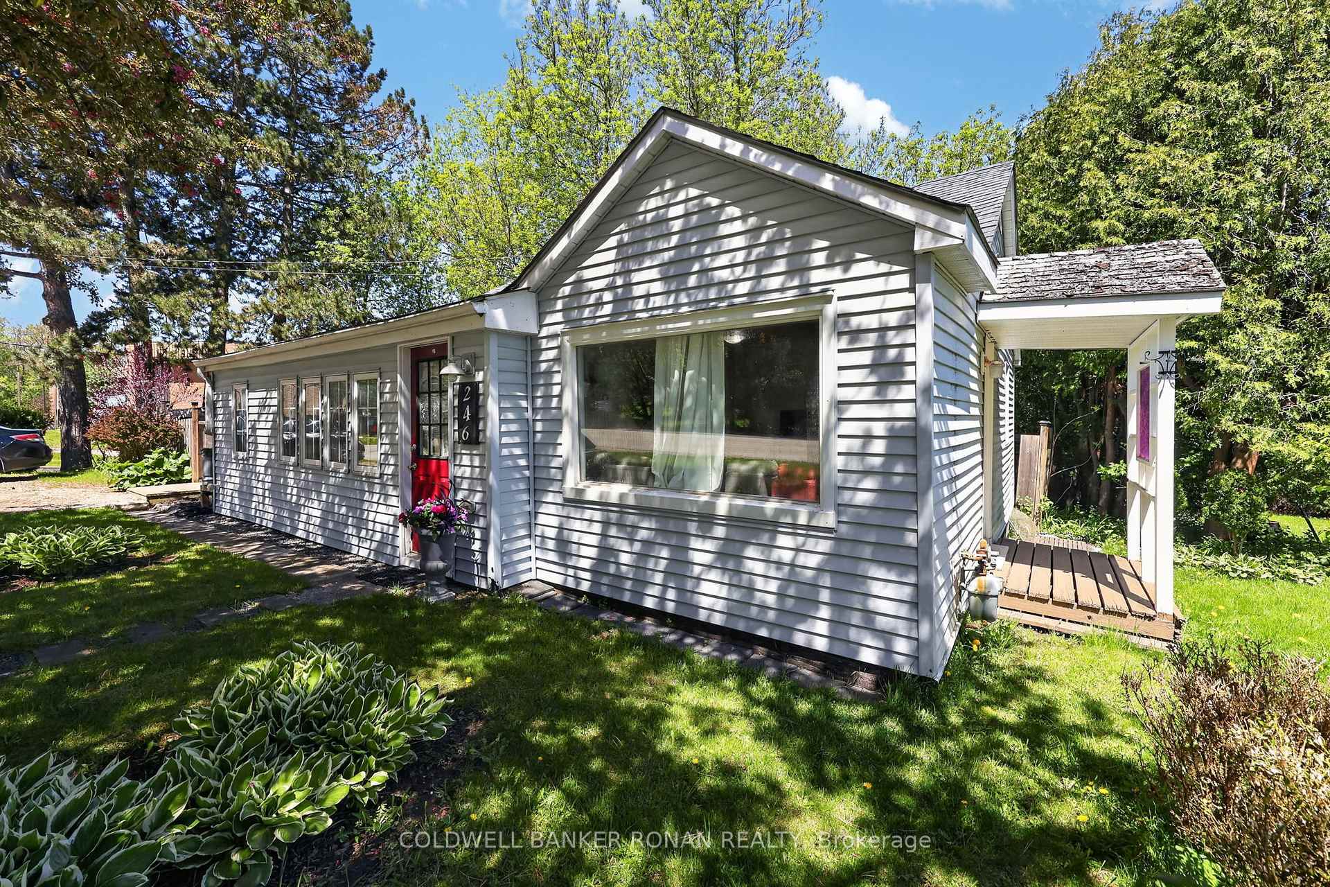 246 Weir Street, Clearview — photo 5 of 5