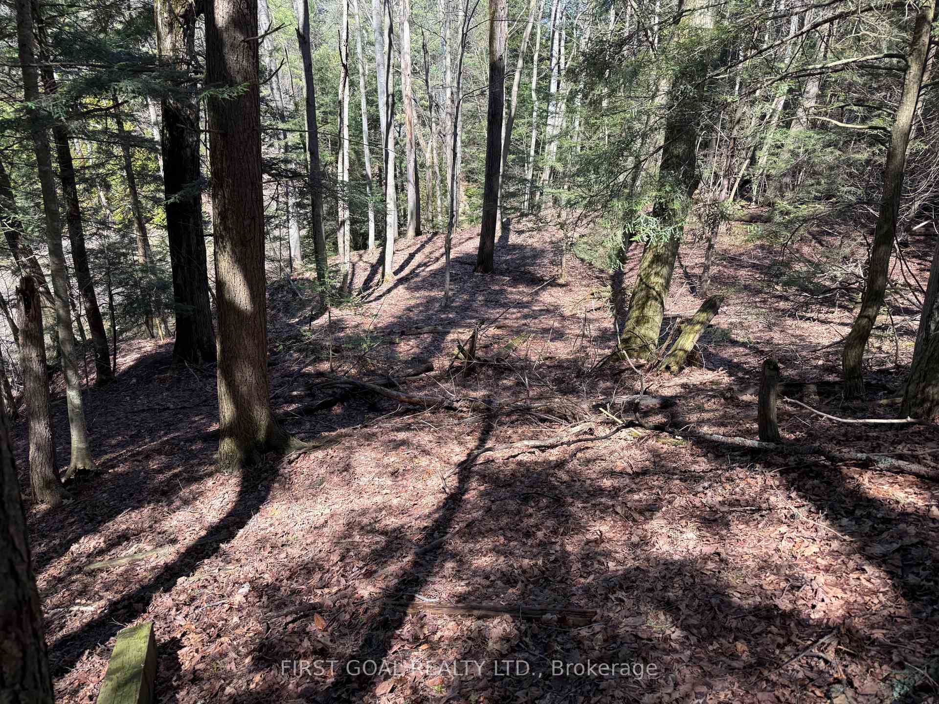 96 E Concession 4 E, Tiny — photo 4 of 5