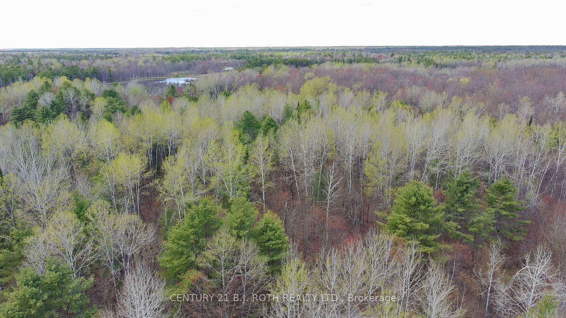 2444 FAIRGROUNDS Road, Ramara — photo 4 of 5