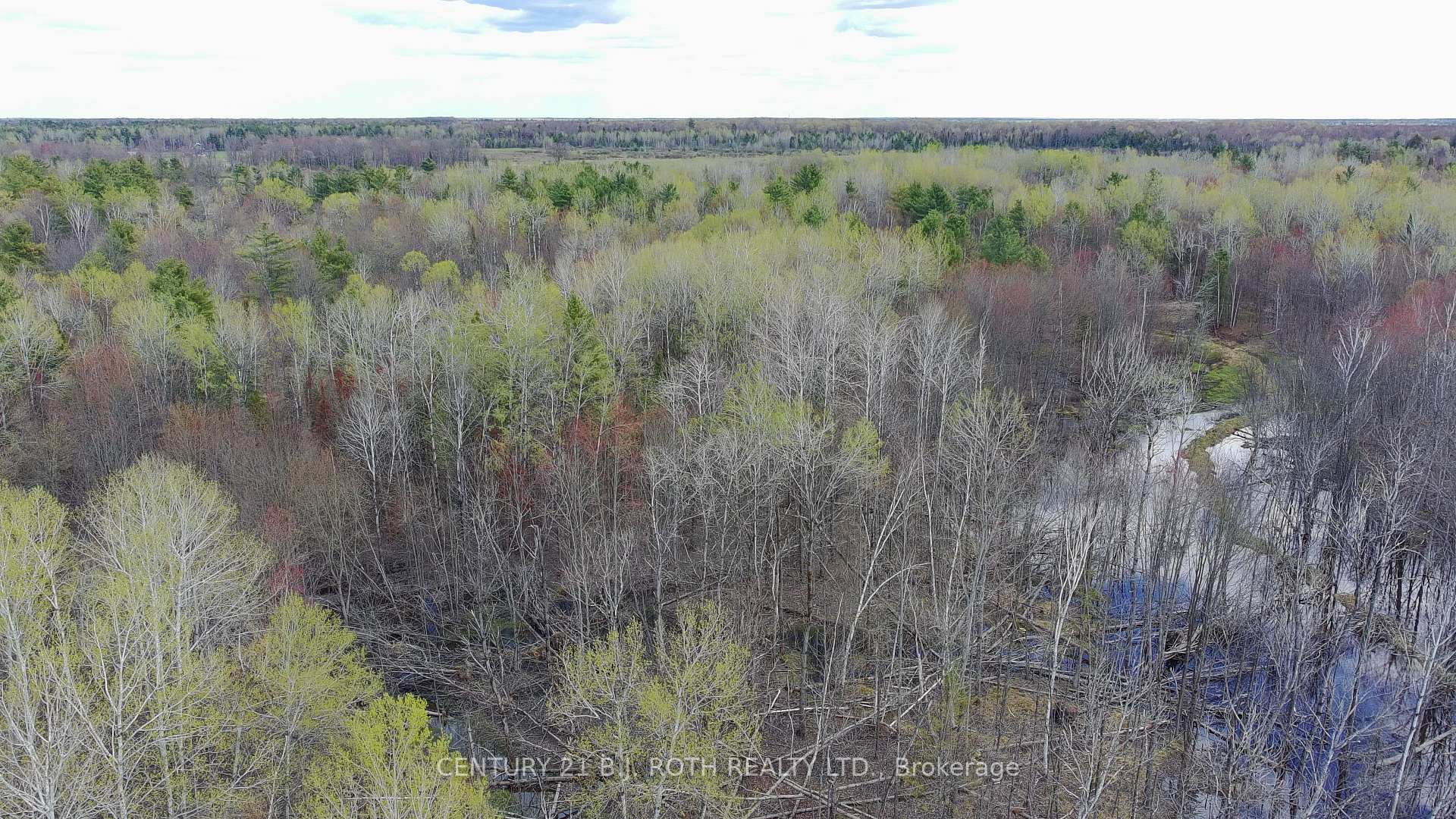 2444 FAIRGROUNDS Road, Ramara — photo 5 of 5