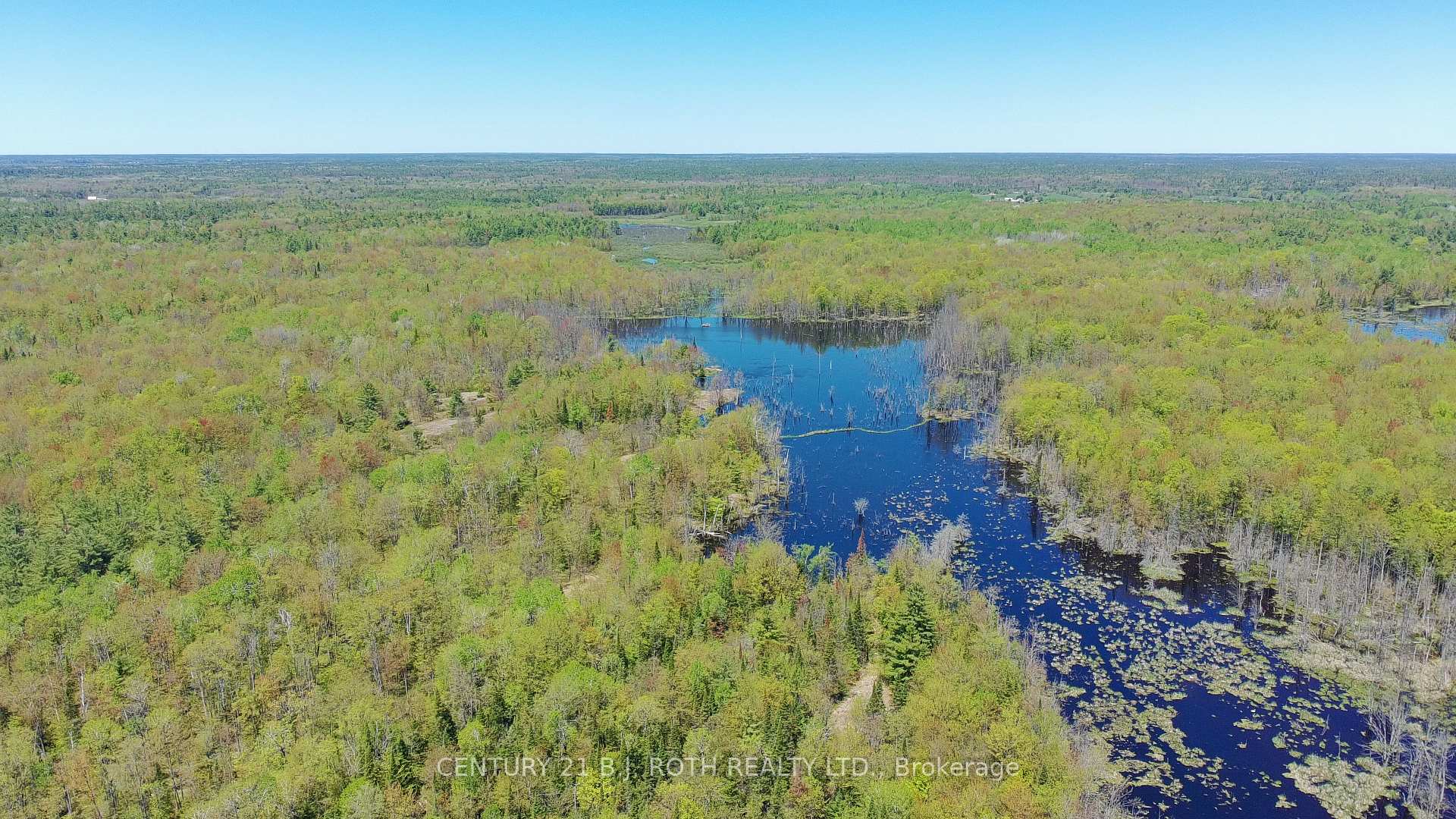 2444 FAIRGROUNDS Road, Ramara — photo 2 of 5