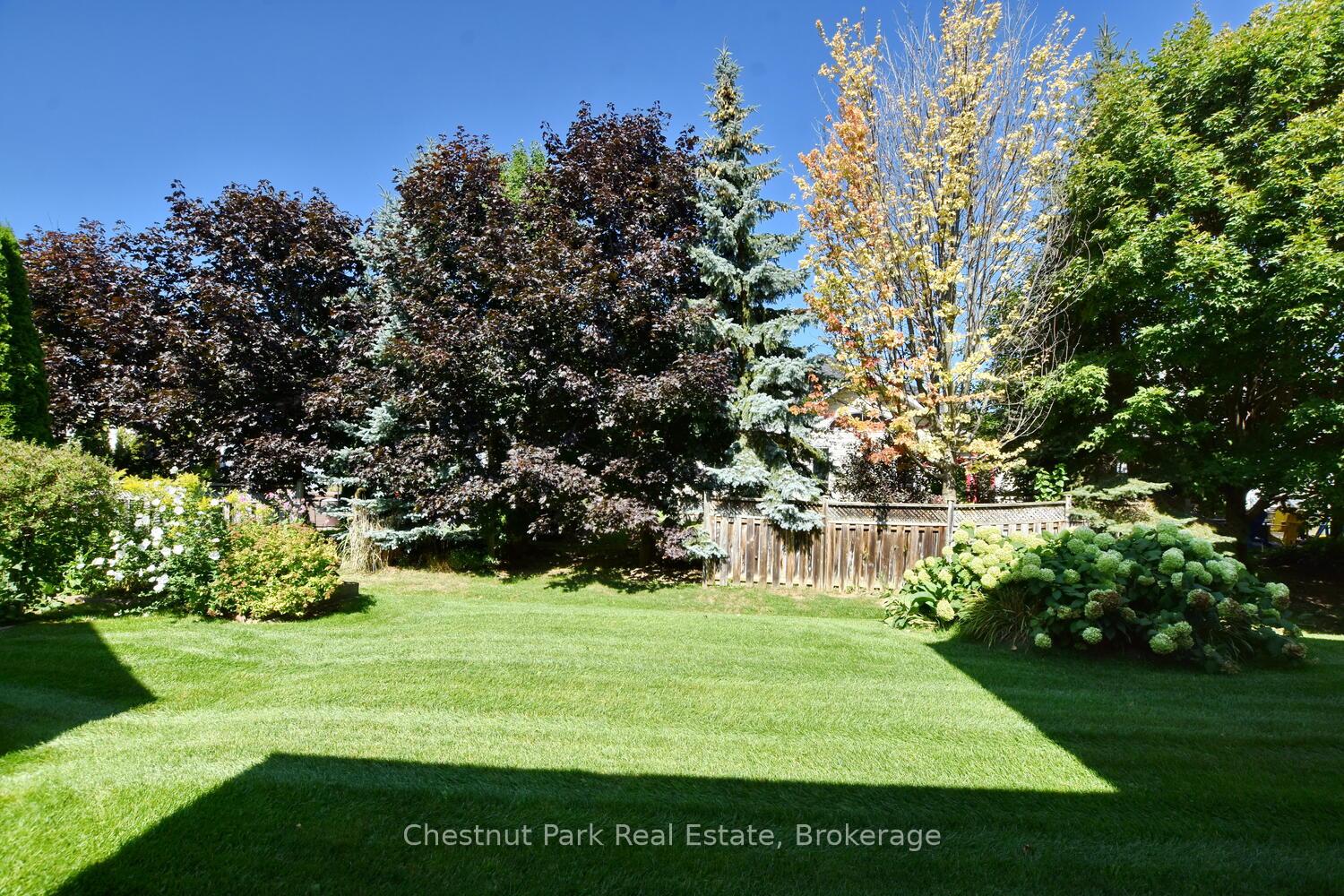 38 Clubhouse Drive, Collingwood — photo 5 of 5