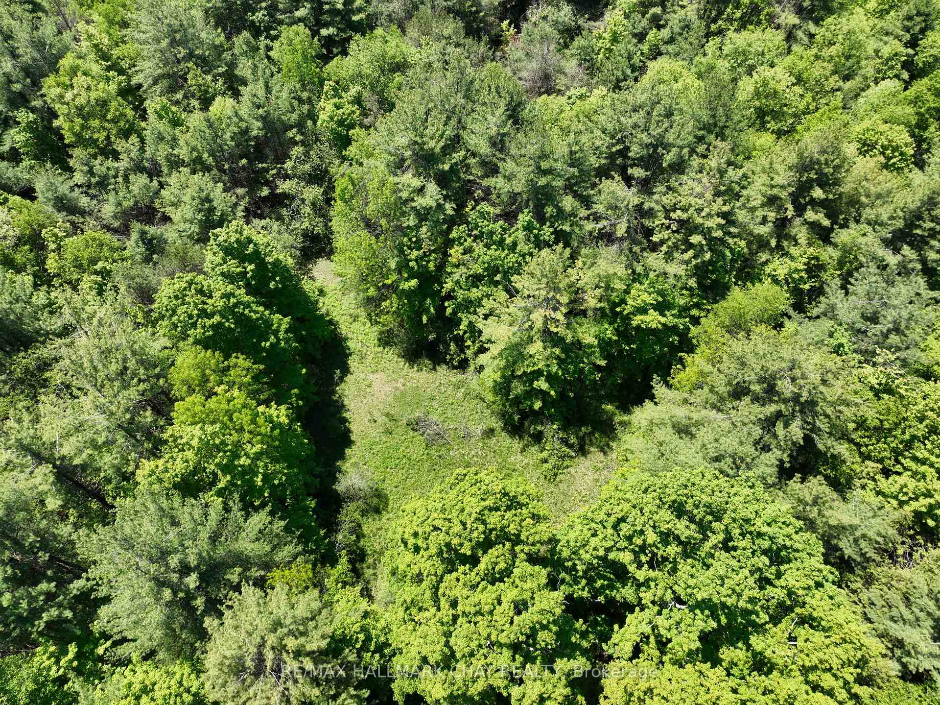 1676 Old Second Road S, Springwater, ON L9X 1P1 — Springwater, Ontario