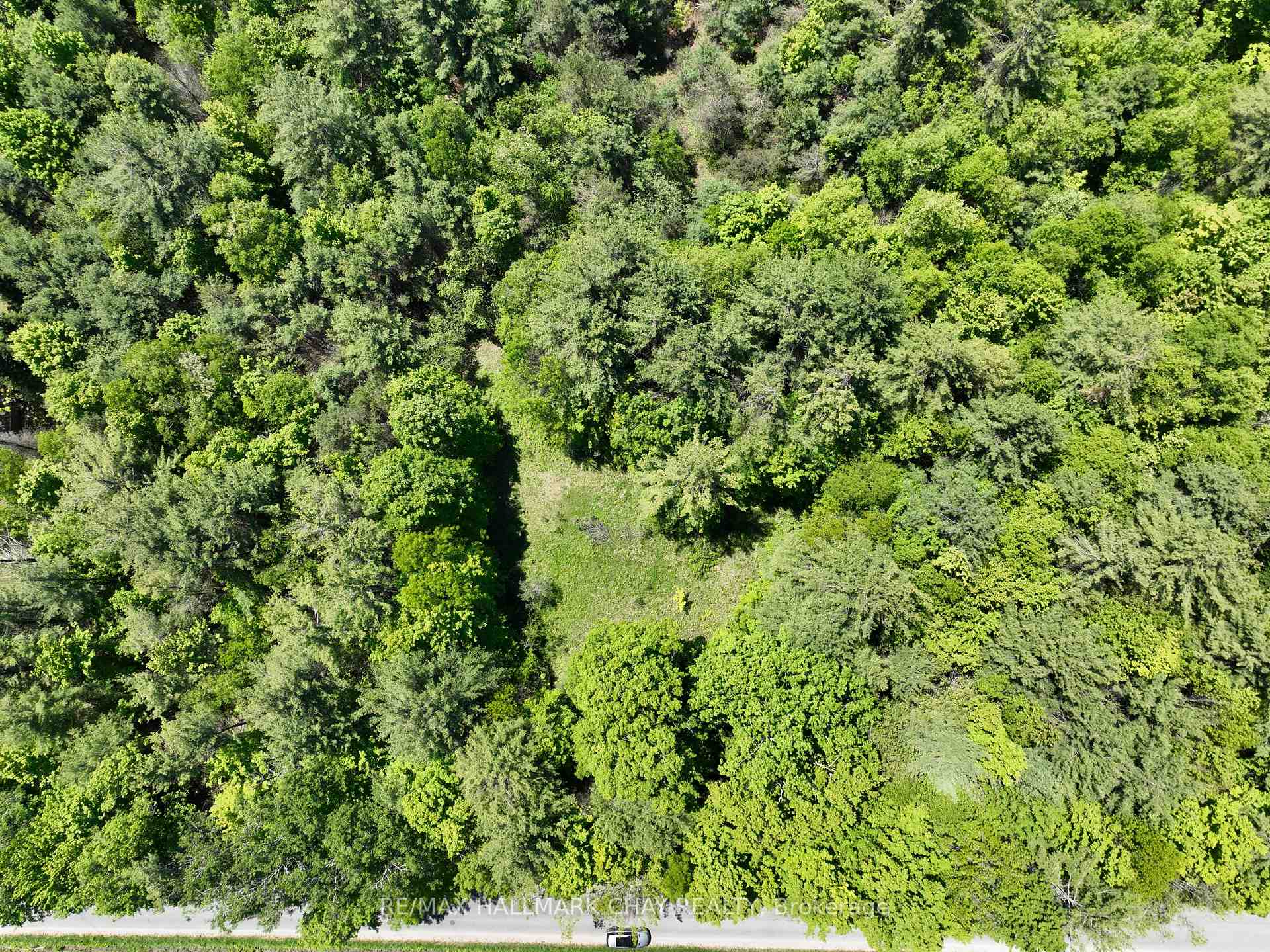 1676 Old Second Road S, Springwater — photo 3 of 5