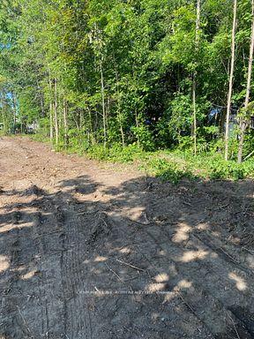 3365 Armand Avenue, Severn, ON L0K 2B0