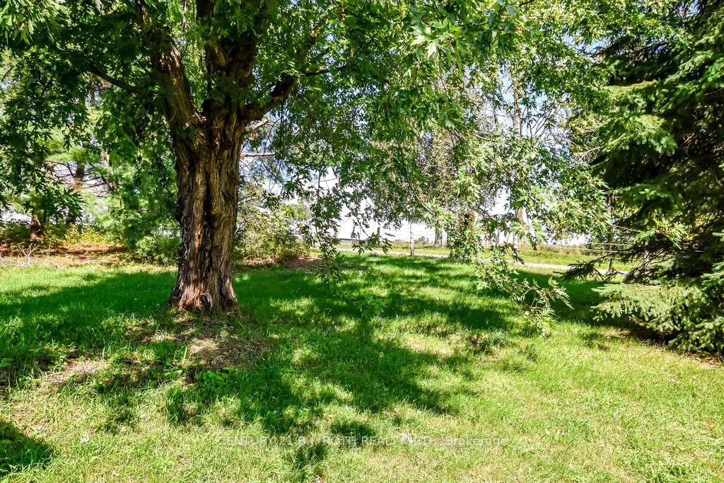1998 Old Barrie Road E, Oro-Medonte — photo 4 of 5
